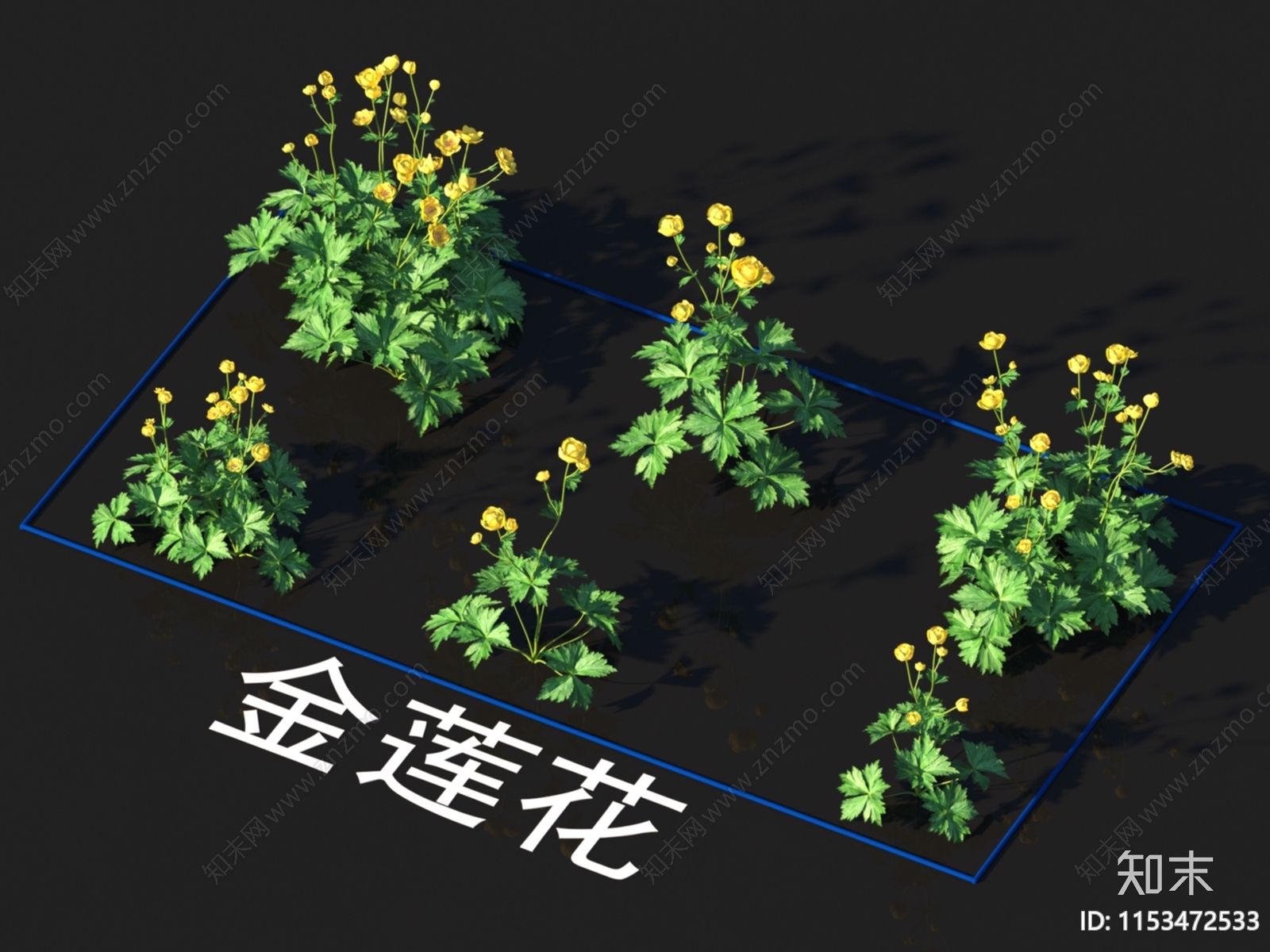 金莲花3D模型下载【ID:1153472533】