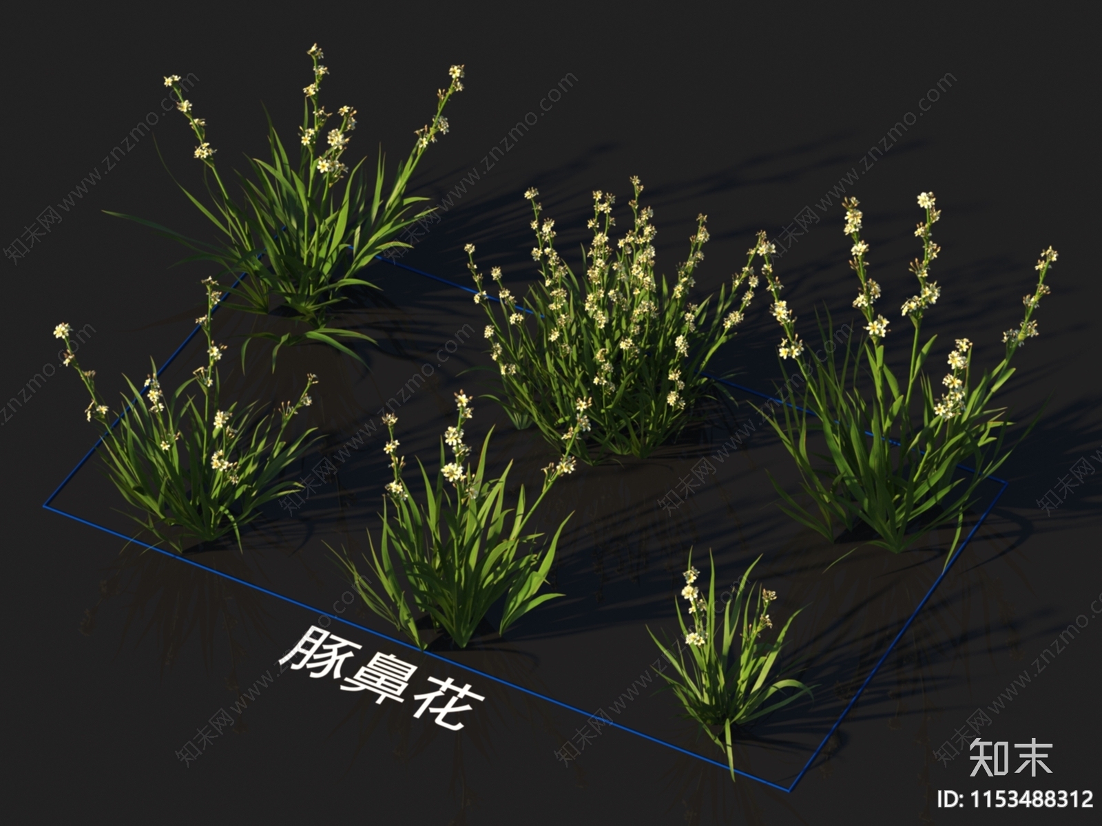 豚鼻花3D模型下载【ID:1153488312】