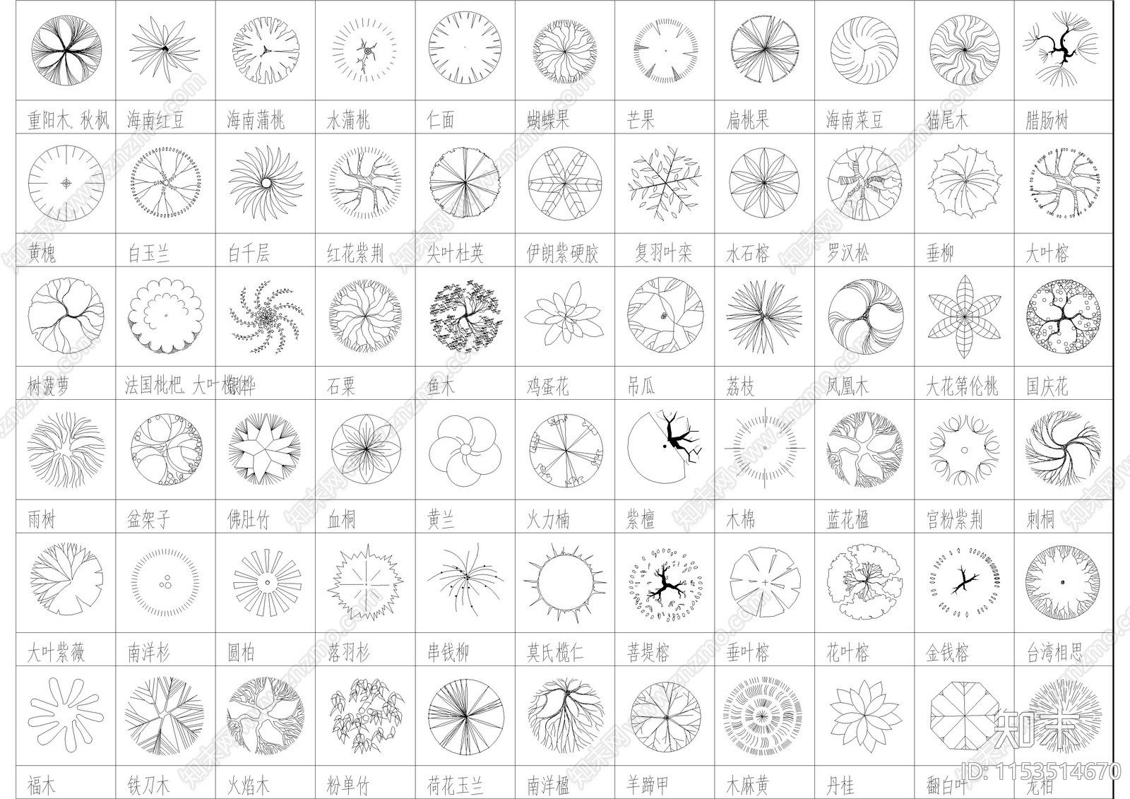 5000种园林植物图例规格尺寸施工图下载【ID:1153514670】