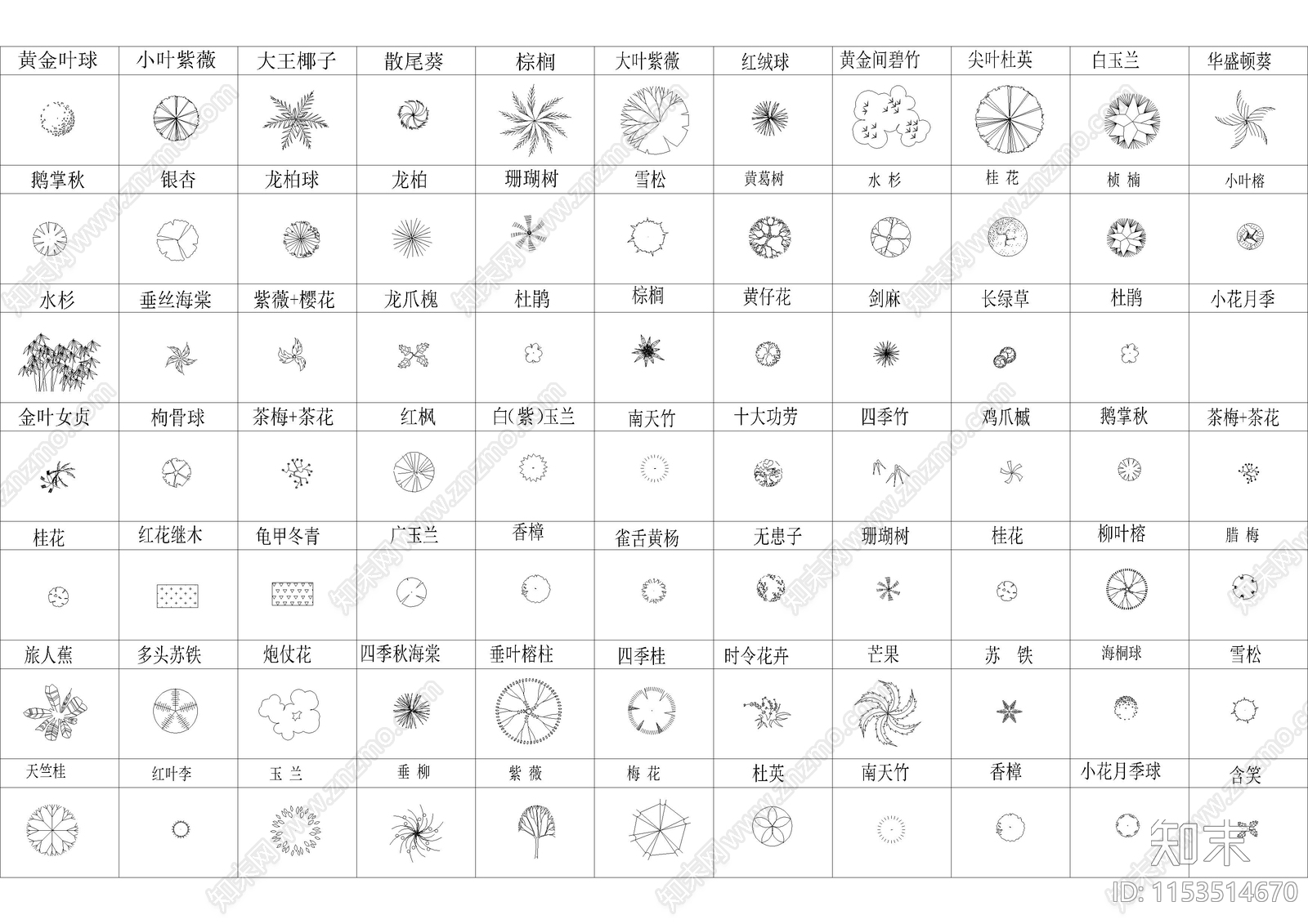 5000种园林植物图例规格尺寸施工图下载【ID:1153514670】