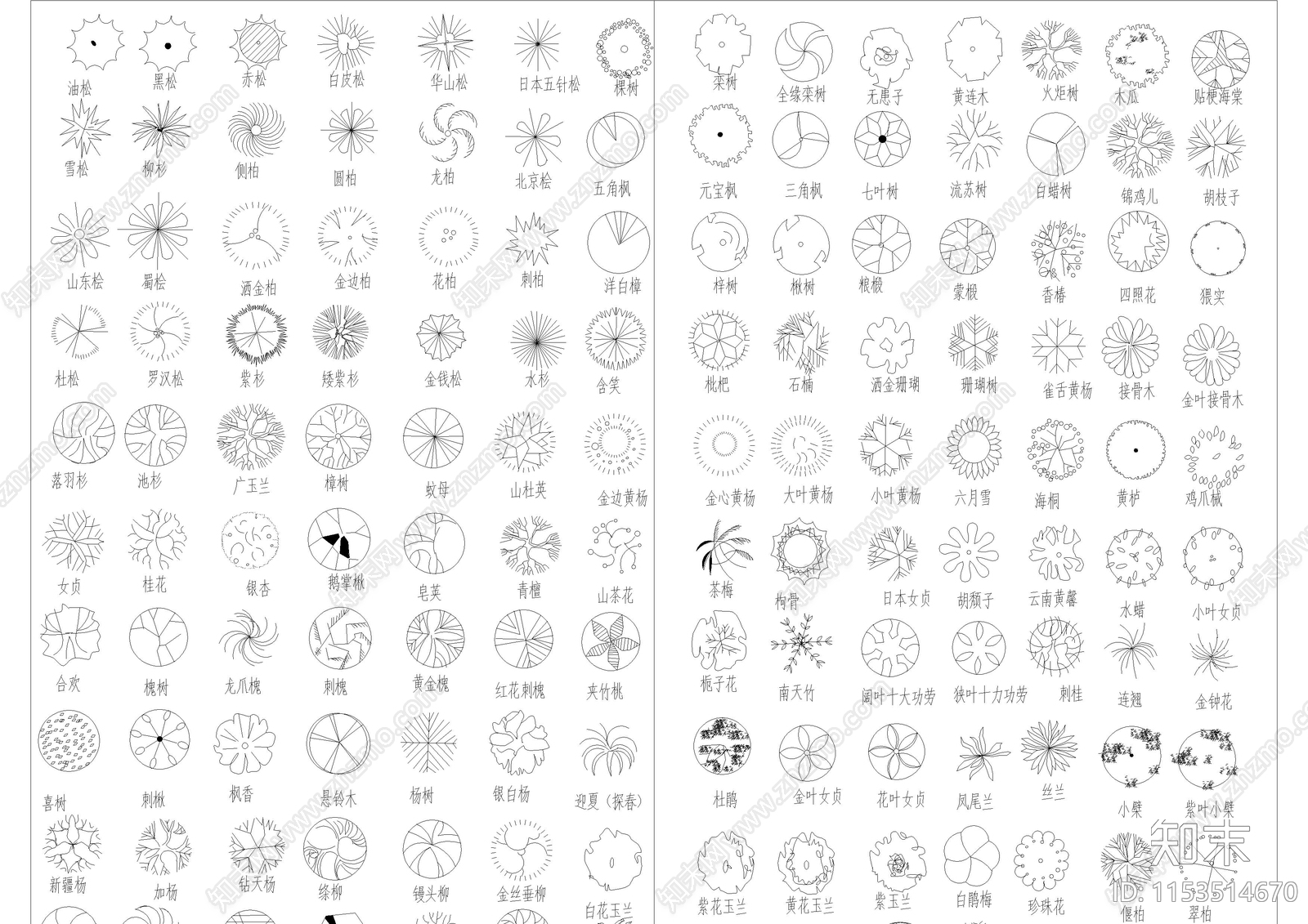 5000种园林植物图例规格尺寸施工图下载【ID:1153514670】