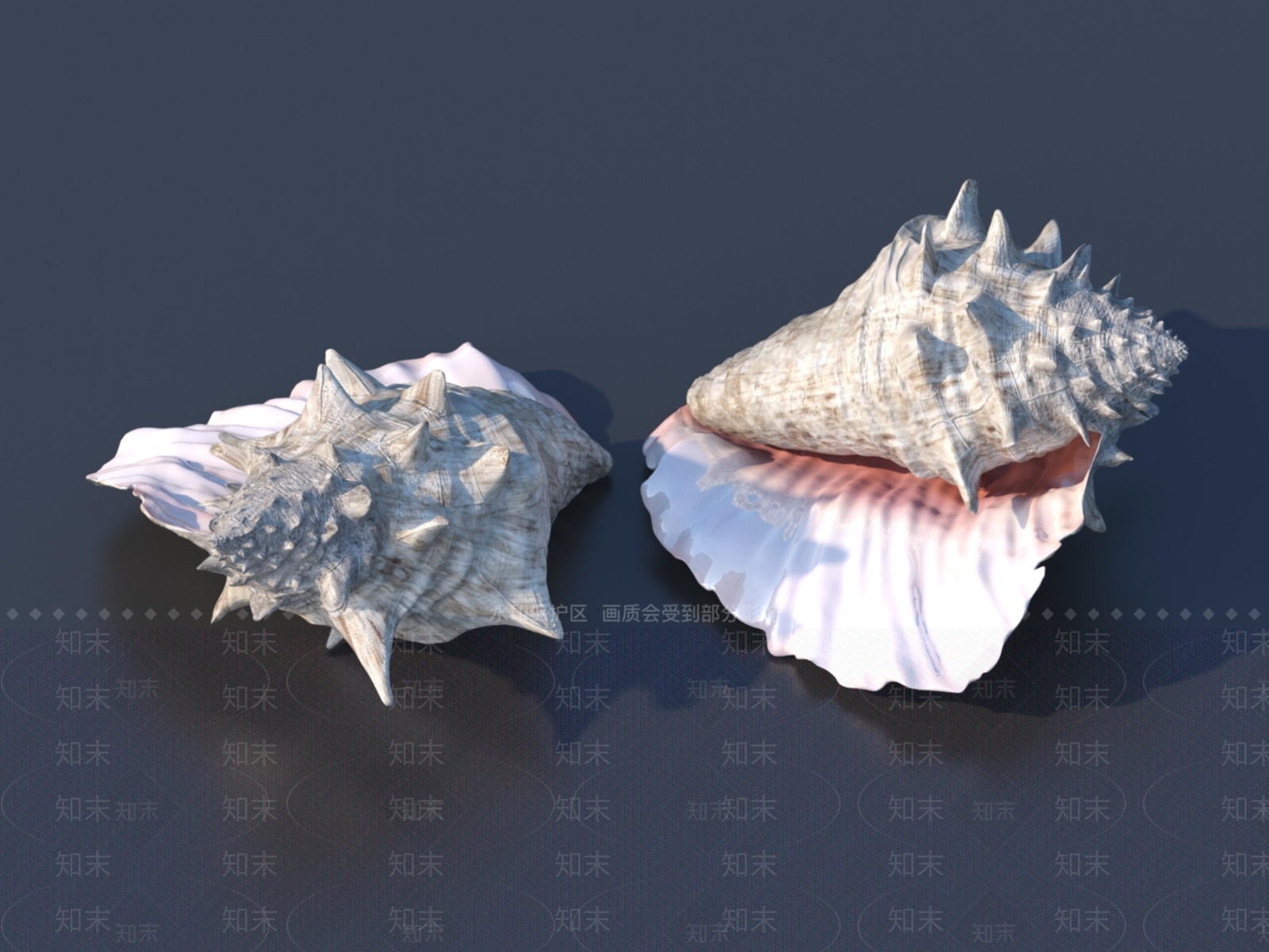 水生类动物3D模型下载【ID:1153564774】