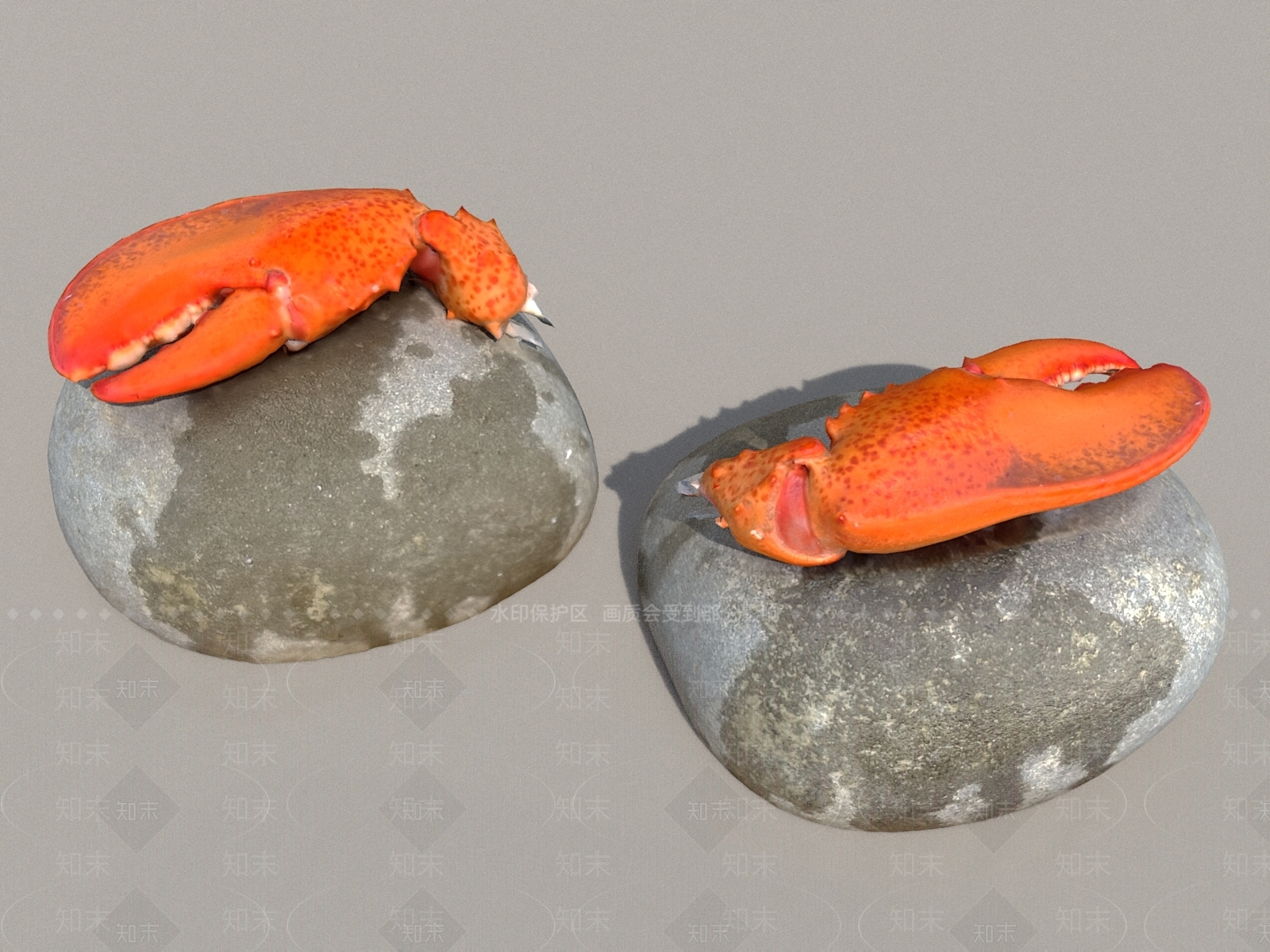 螃蟹钳子海鲜3D模型下载【ID:1153581887】