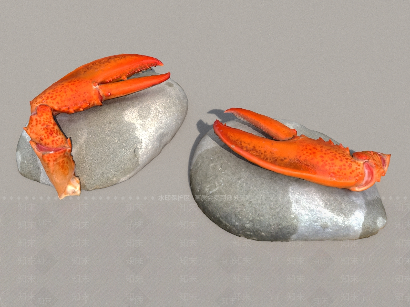 海鲜螃蟹钳子3D模型下载【ID:1153581952】