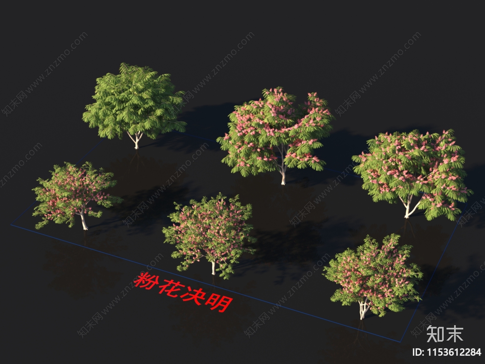 粉花决明3D模型下载【ID:1153612284】