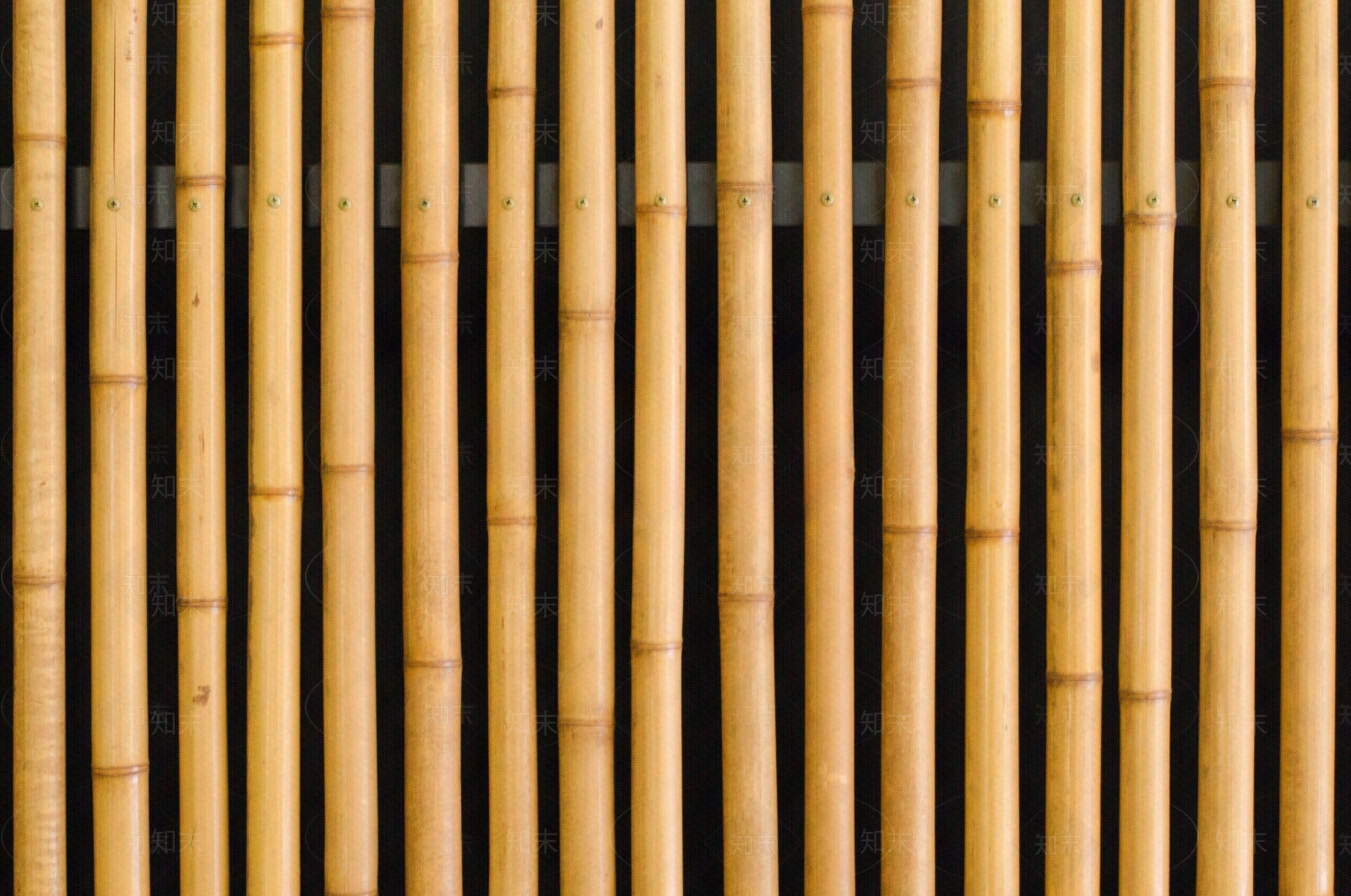 竹篱笆贴图下载【ID:1153648107】