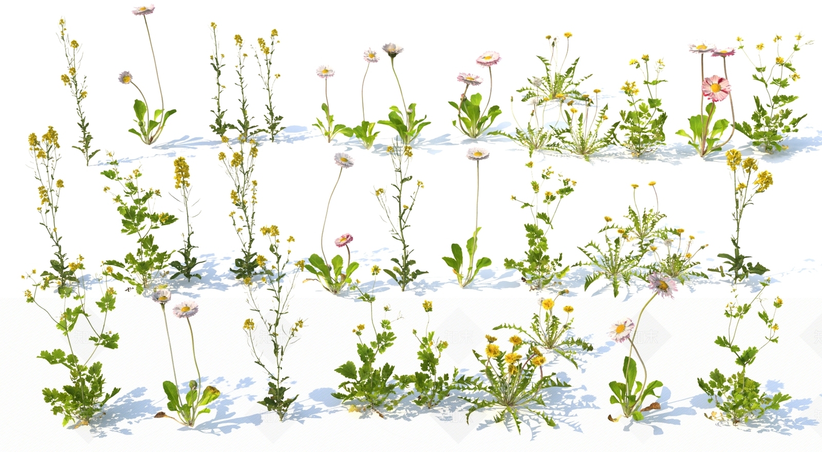 花草组合3D模型下载【ID:1153650229】
