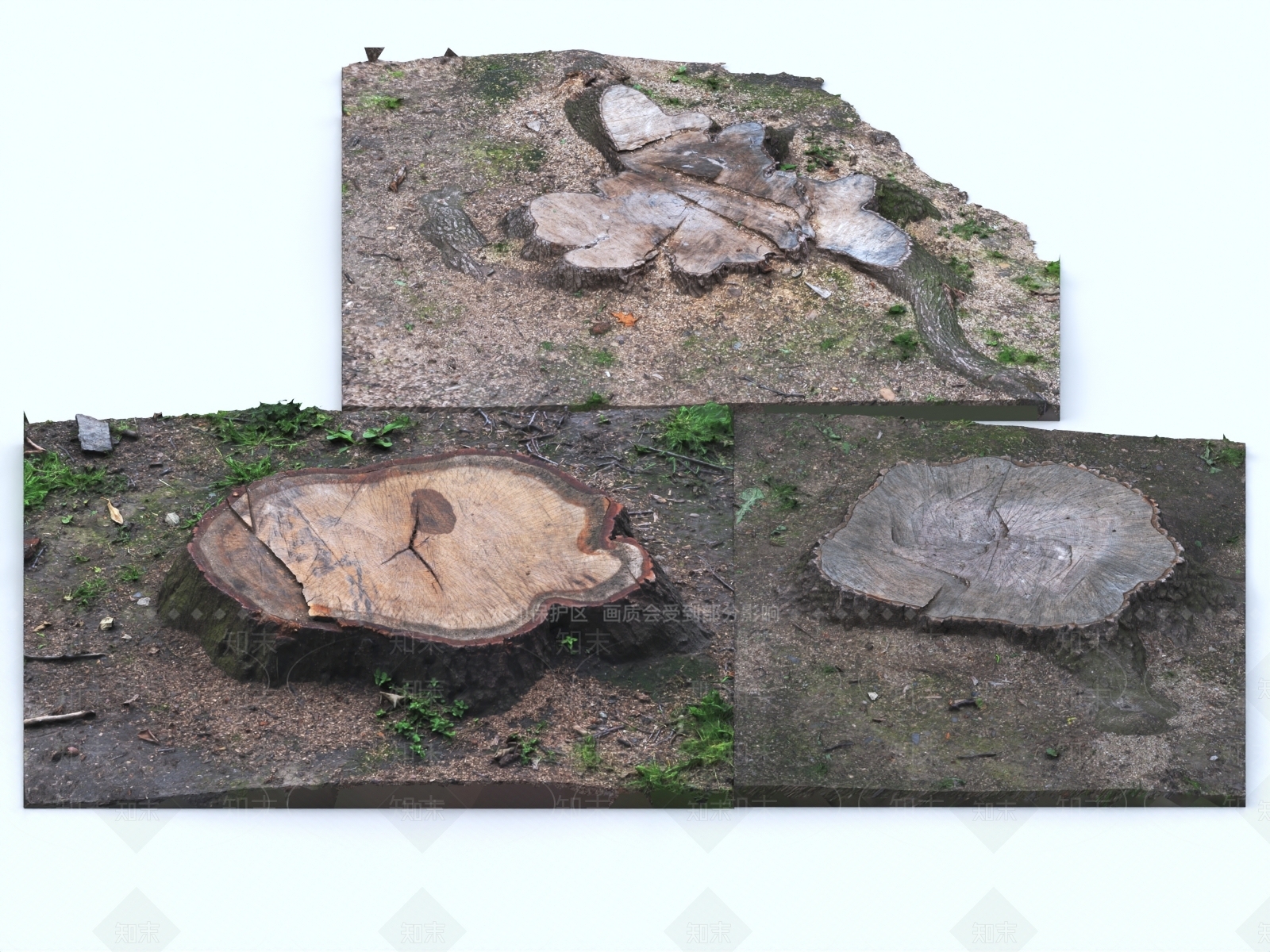树桩3D模型下载【ID:1153676198】
