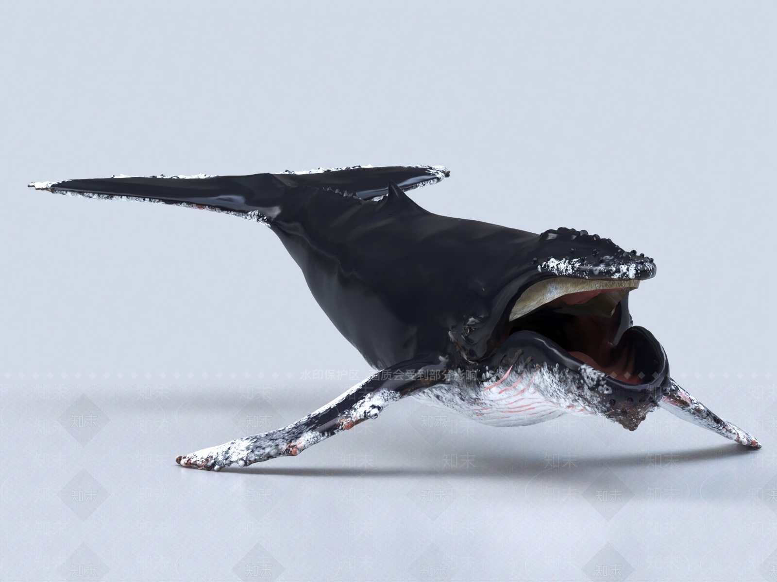 座头鲸3D模型下载【ID:1153677905】