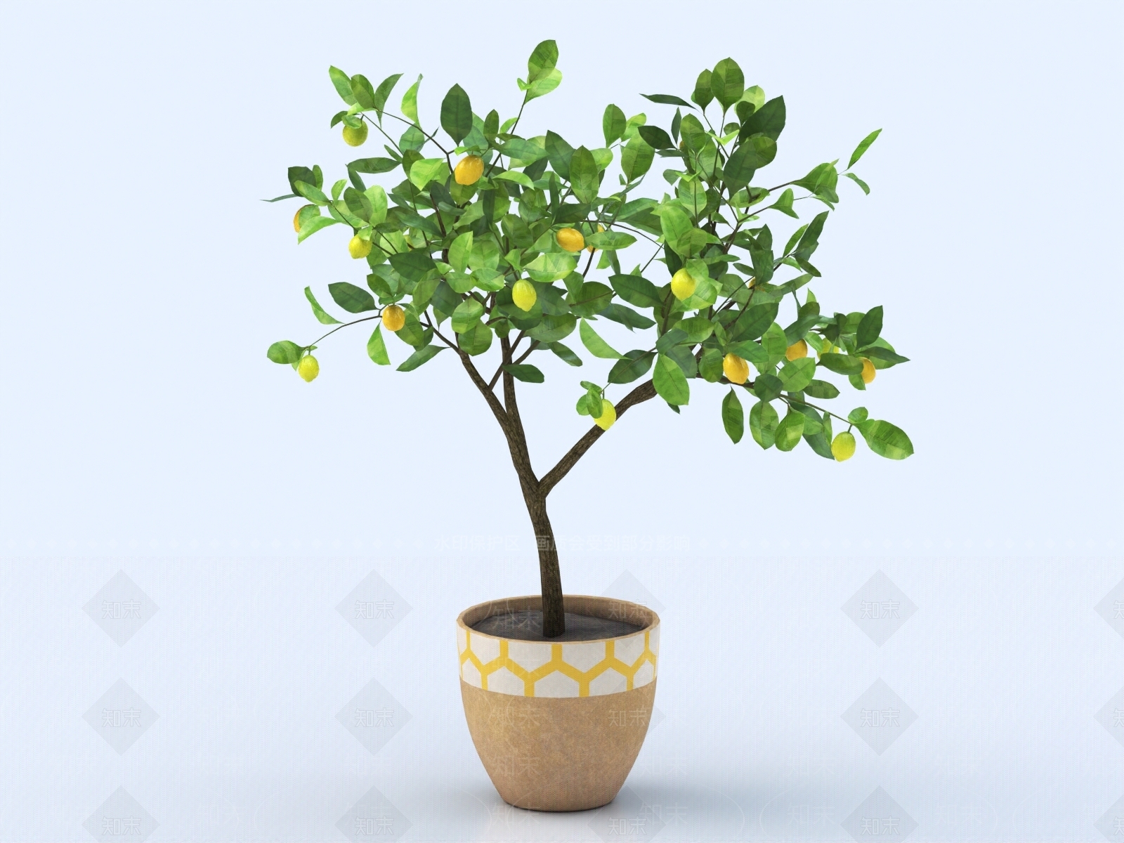柠檬树3D模型下载【ID:1153679934】