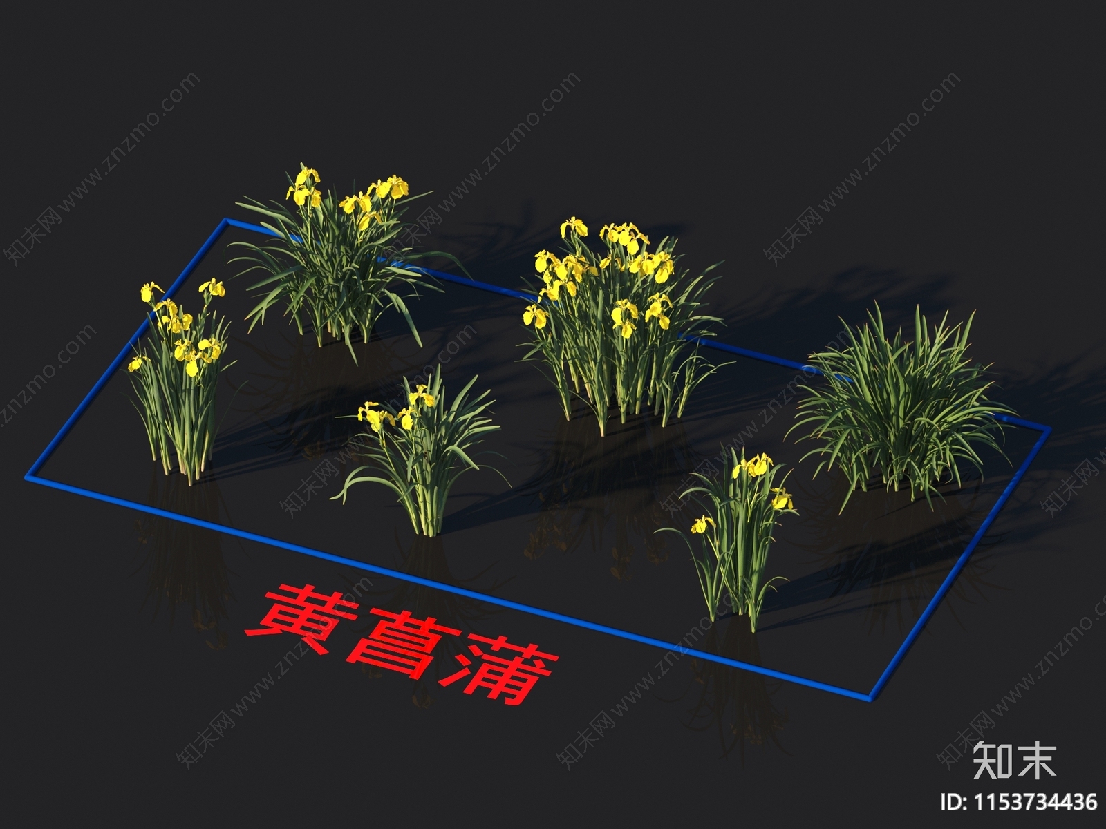 黄菖蒲3D模型下载【ID:1153734436】