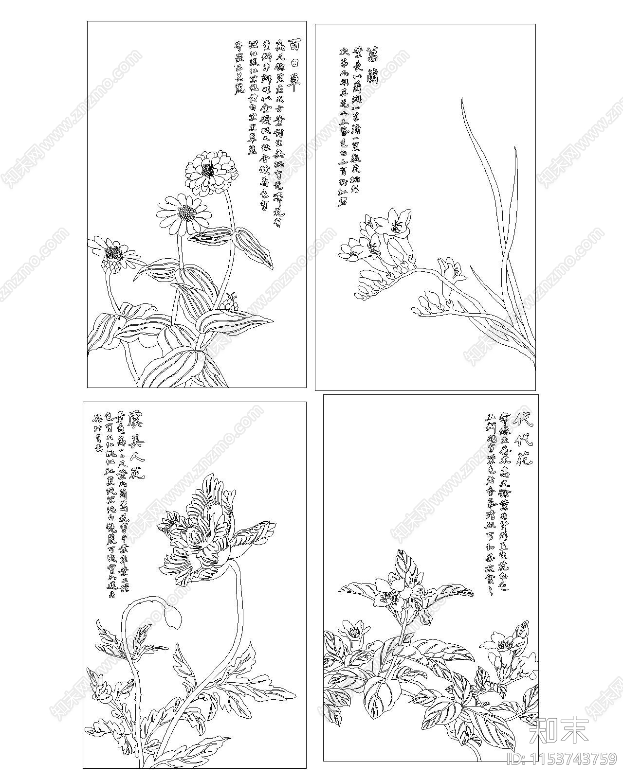 中式雕花图案cad施工图下载【ID:1153743759】