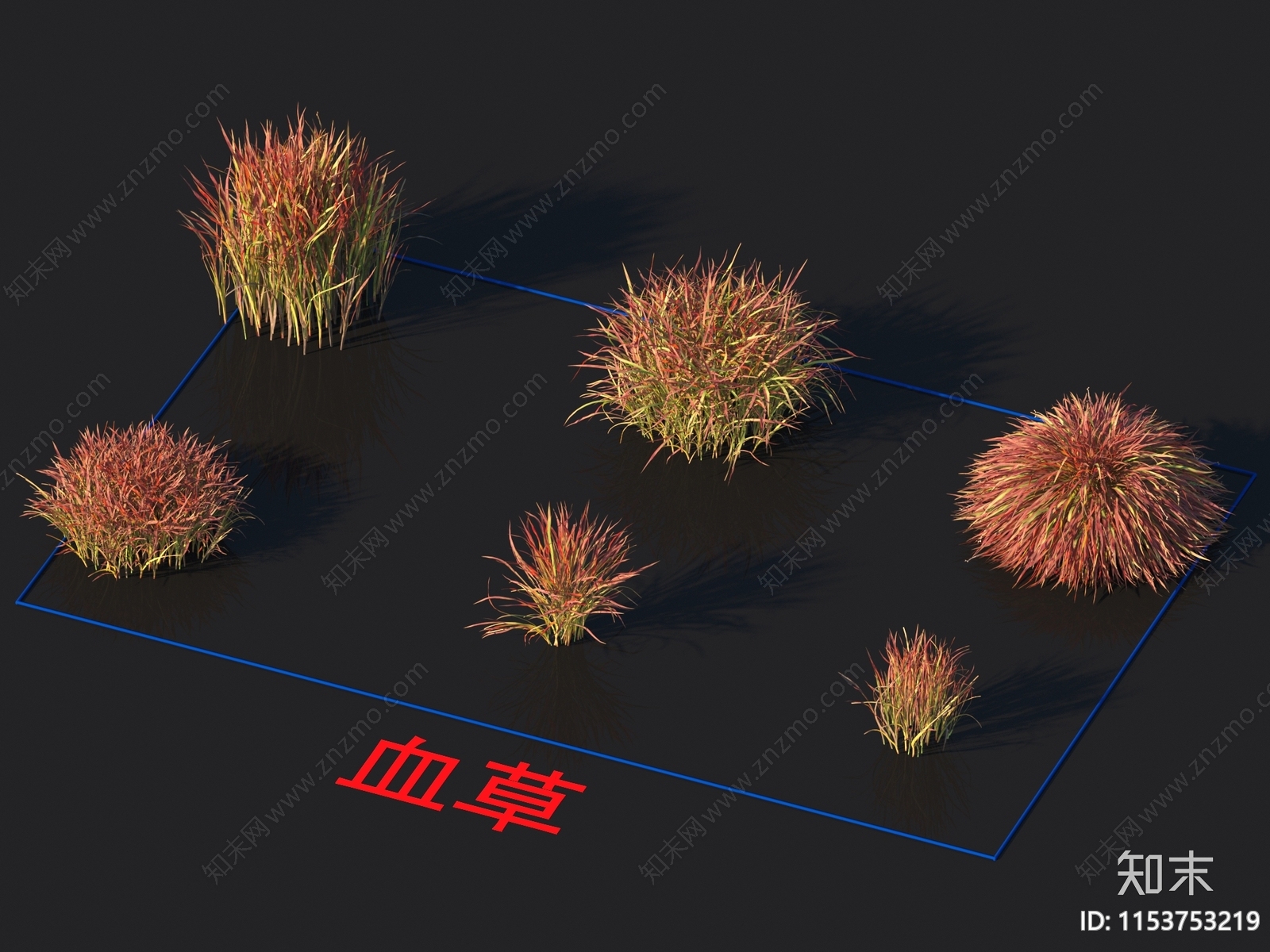 血草3D模型下载【ID:1153753219】