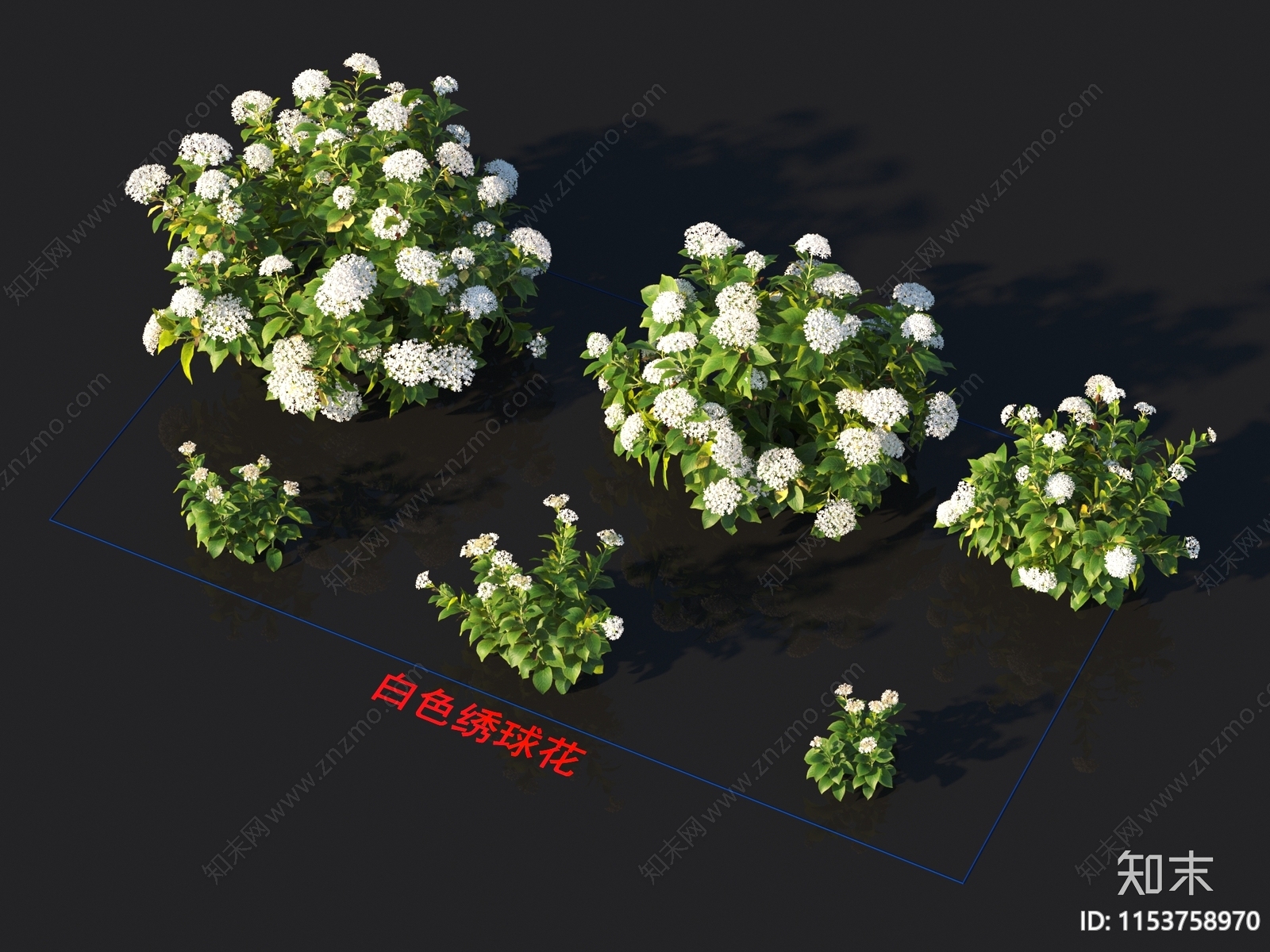 花3D模型下载【ID:1153758970】