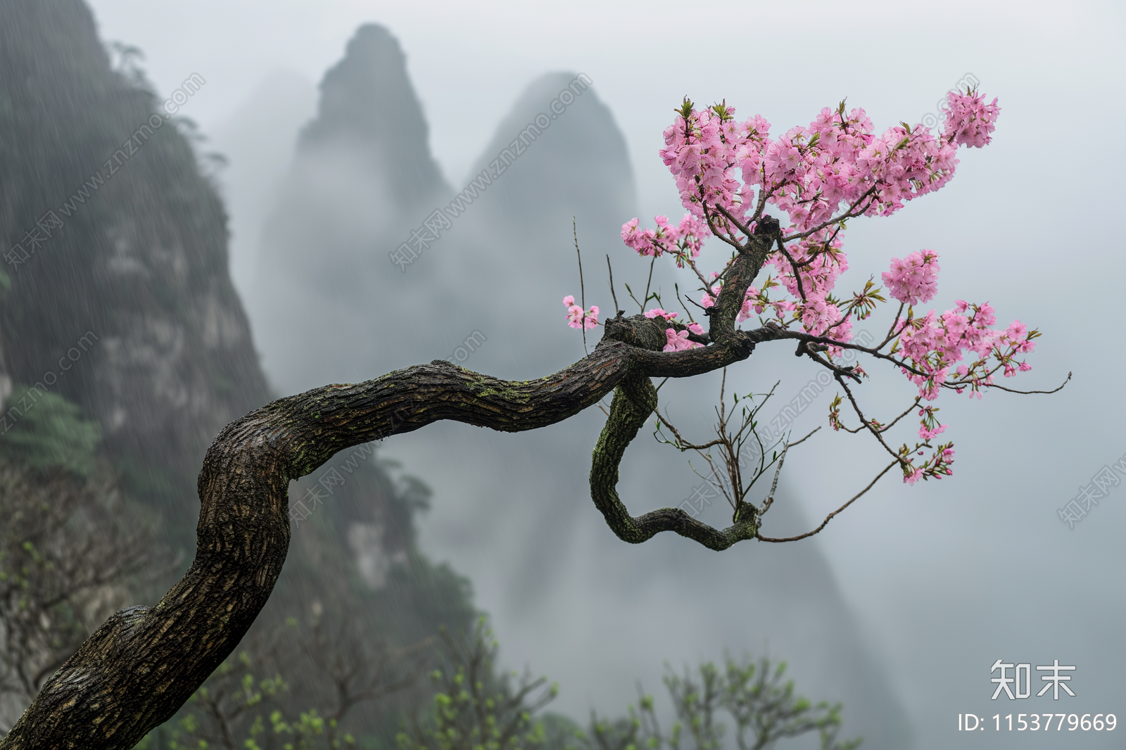 山间悬崖植物风景贴图下载【ID:1153779669】