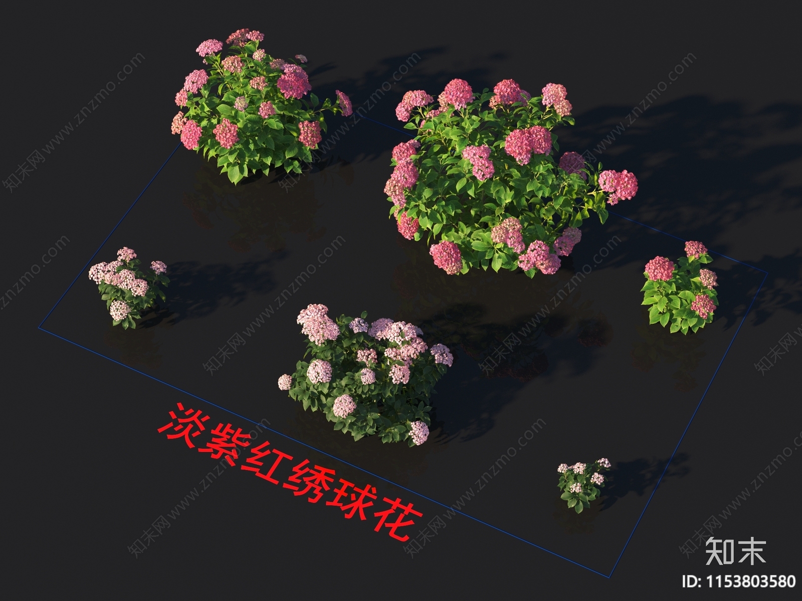 淡紫红绣球花3D模型下载【ID:1153803580】