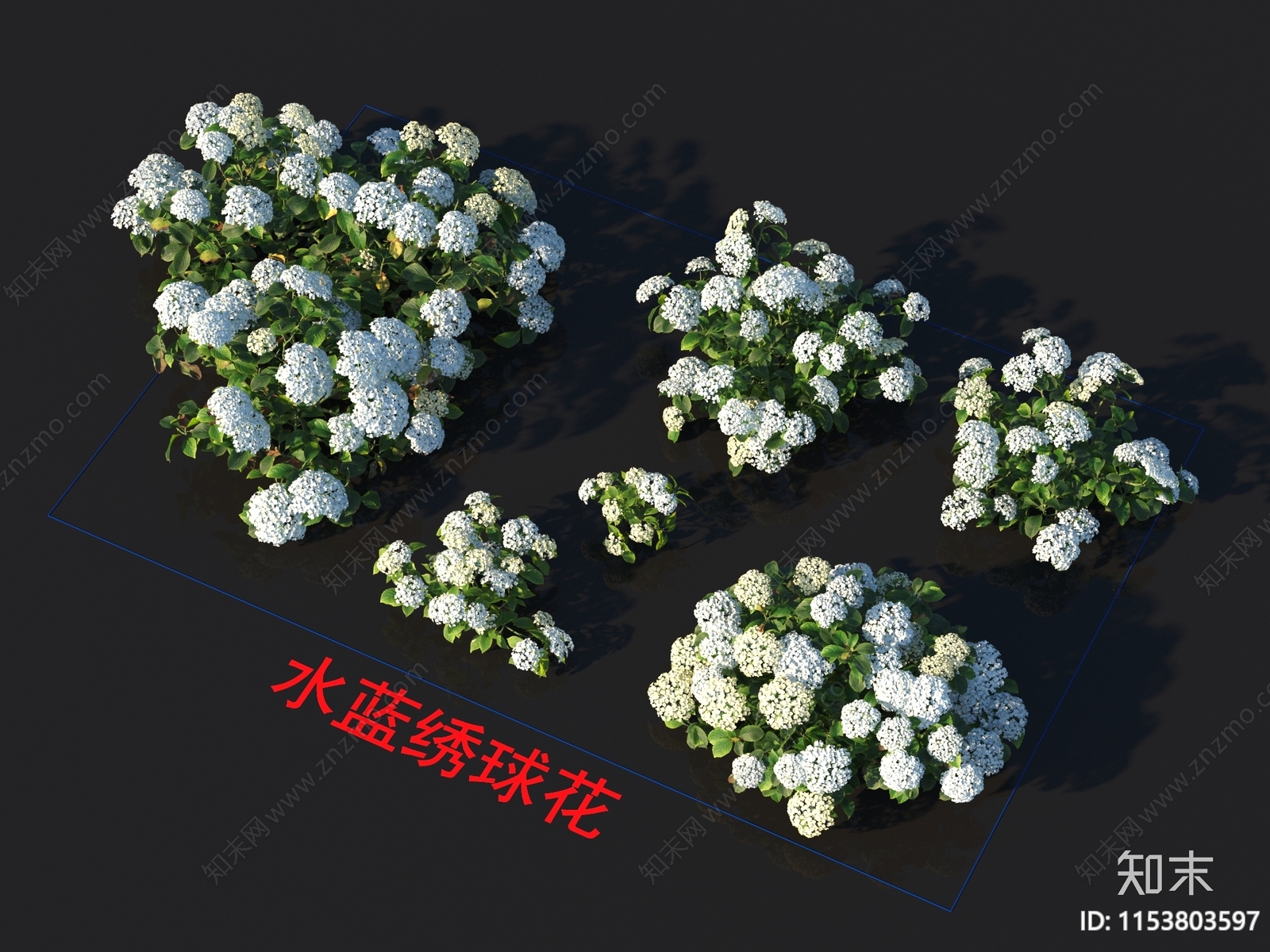 水蓝绣球花3D模型下载【ID:1153803597】