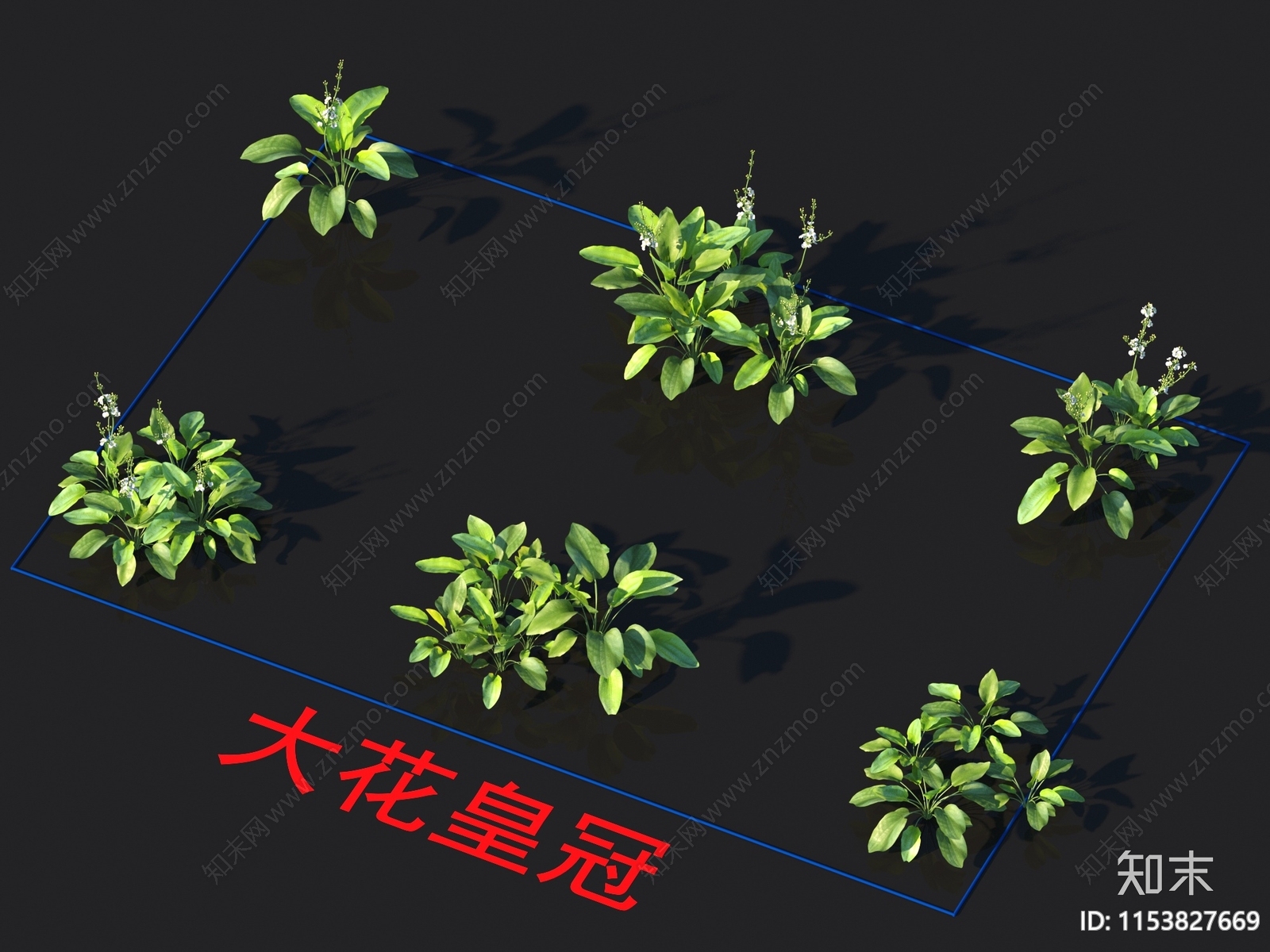 大花皇冠3D模型下载【ID:1153827669】