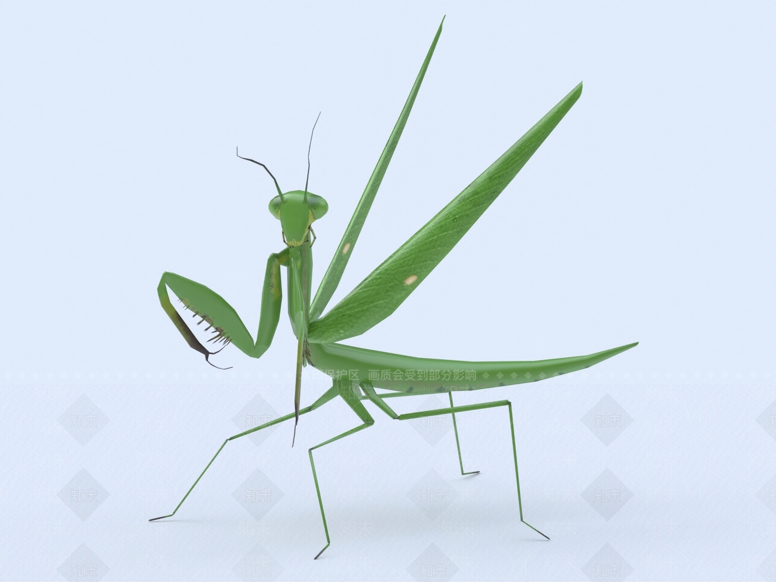螳螂3D模型下载【ID:1153846768】