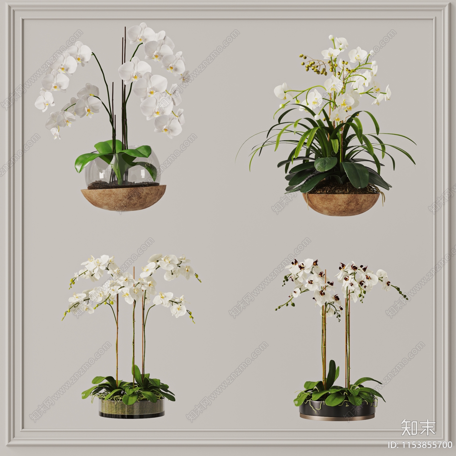 兰花盆栽植物组合3D模型下载【ID:1153855700】