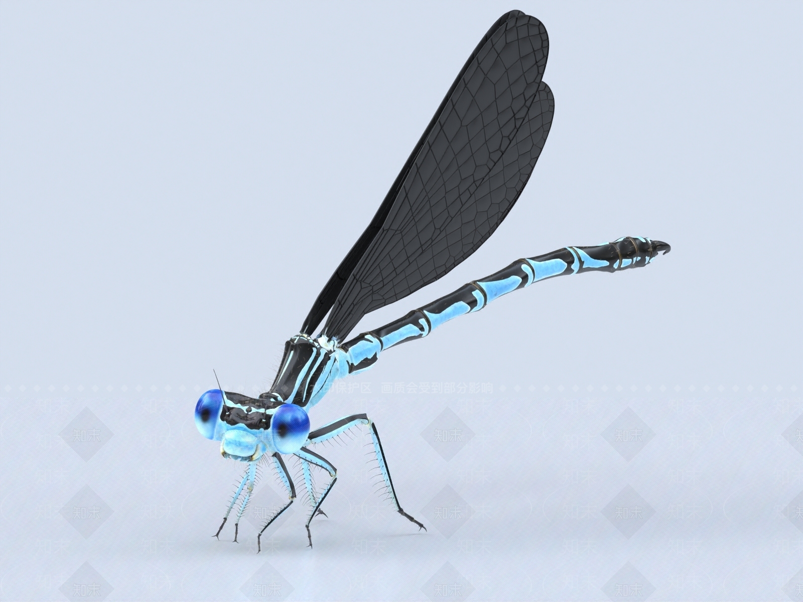 飞行类动物3D模型下载【ID:1153879789】