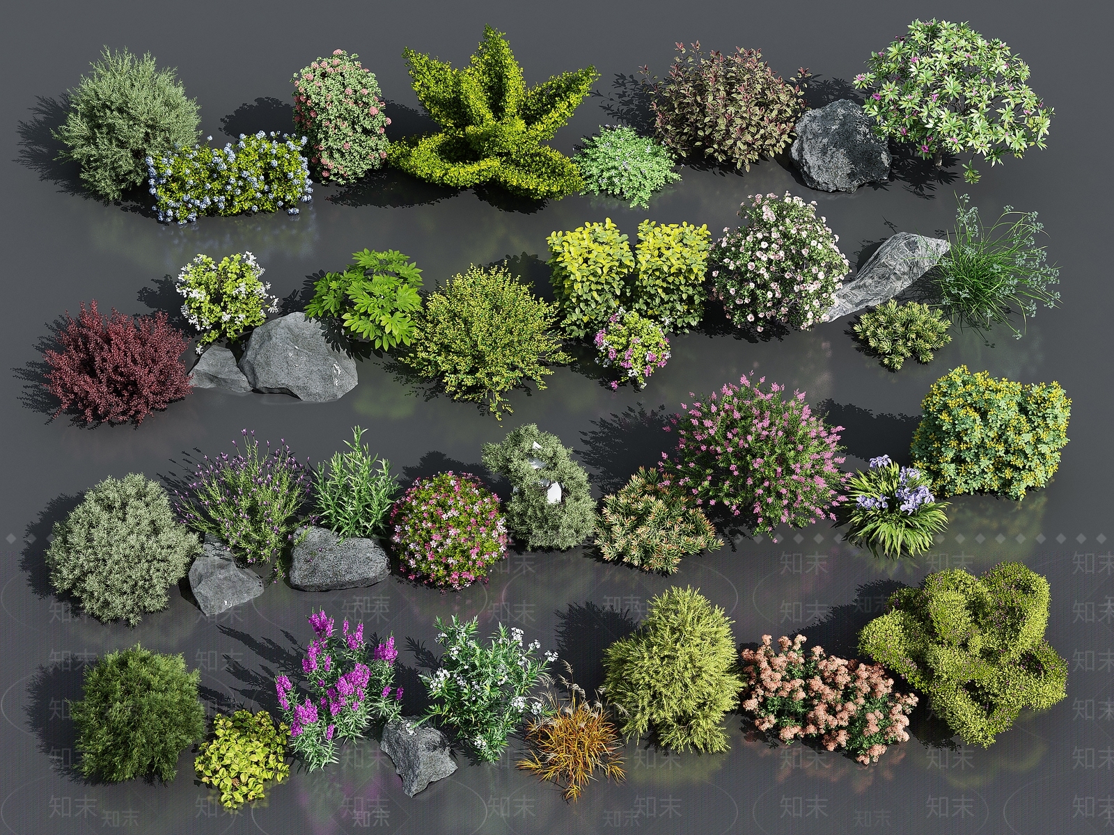 花草花卉组合3D模型下载【ID:1153894602】