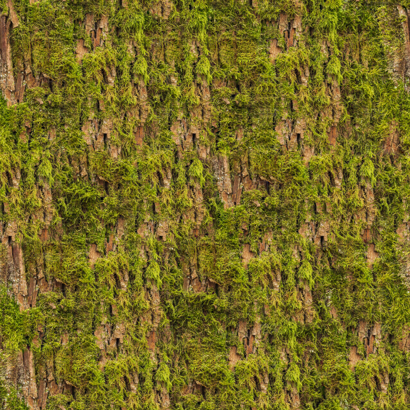 无缝长满苔藓的树皮贴图下载【ID:1153912633】