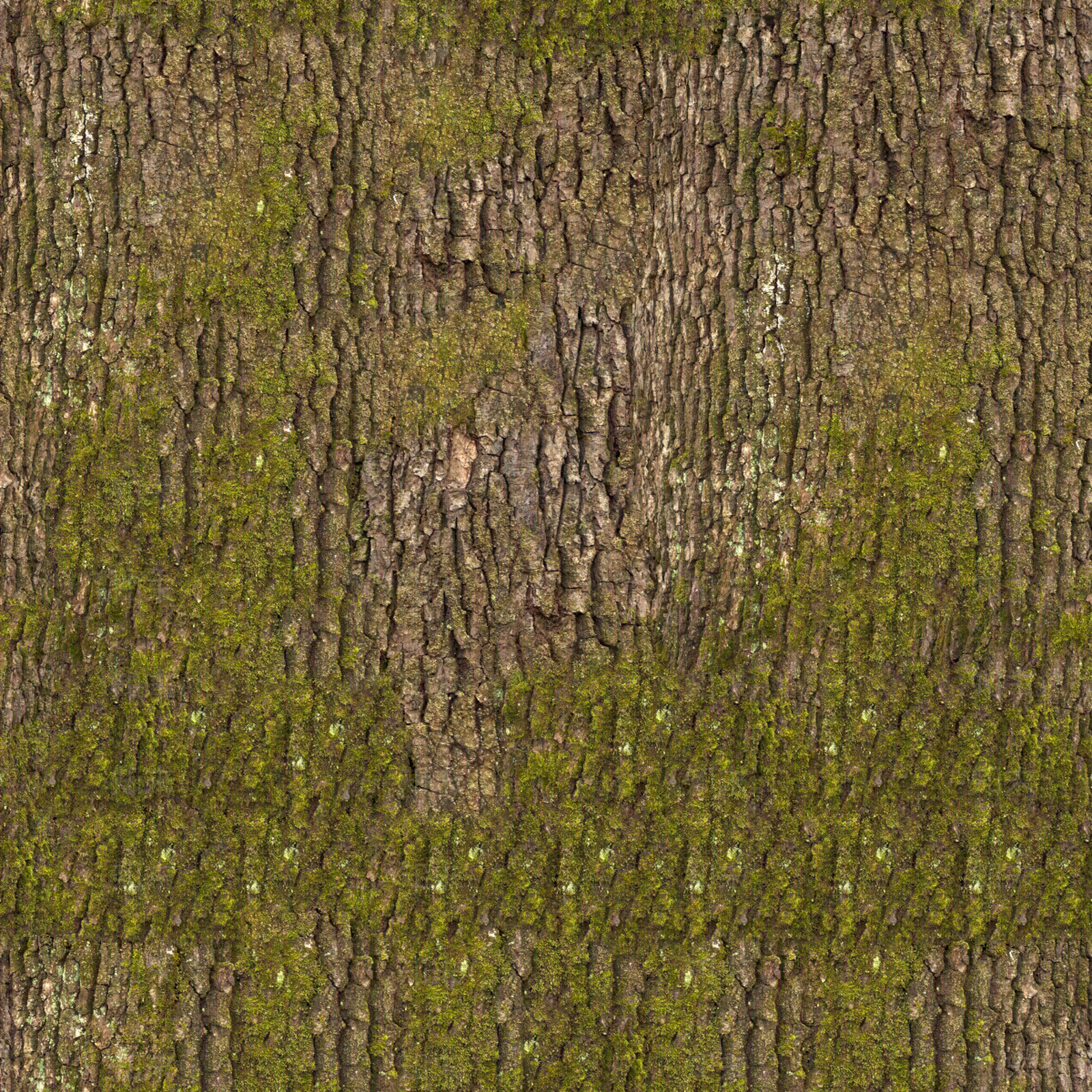 无缝长满苔藓的树皮贴图下载【ID:1153912634】