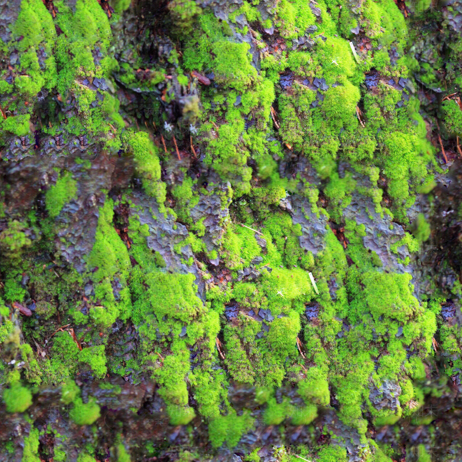 无缝长满苔藓的树皮贴图下载【ID:1153912881】