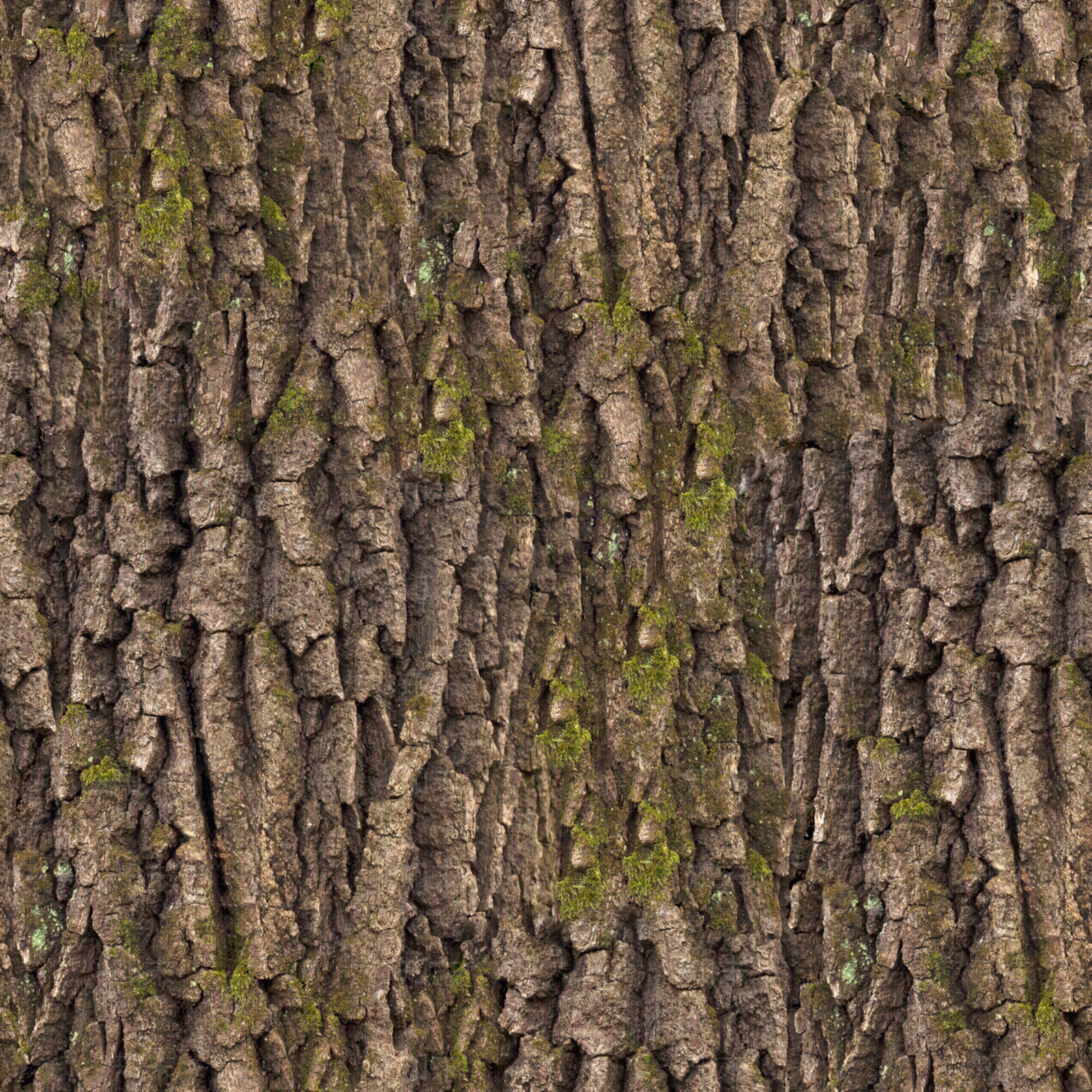 无缝松树皮贴图下载【ID:1153913668】