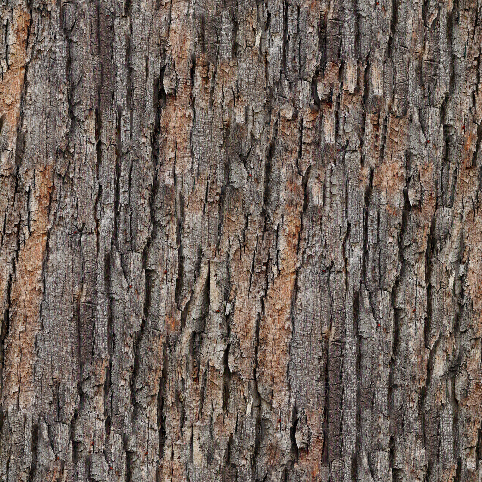 无缝松树皮贴图下载【ID:1153913826】