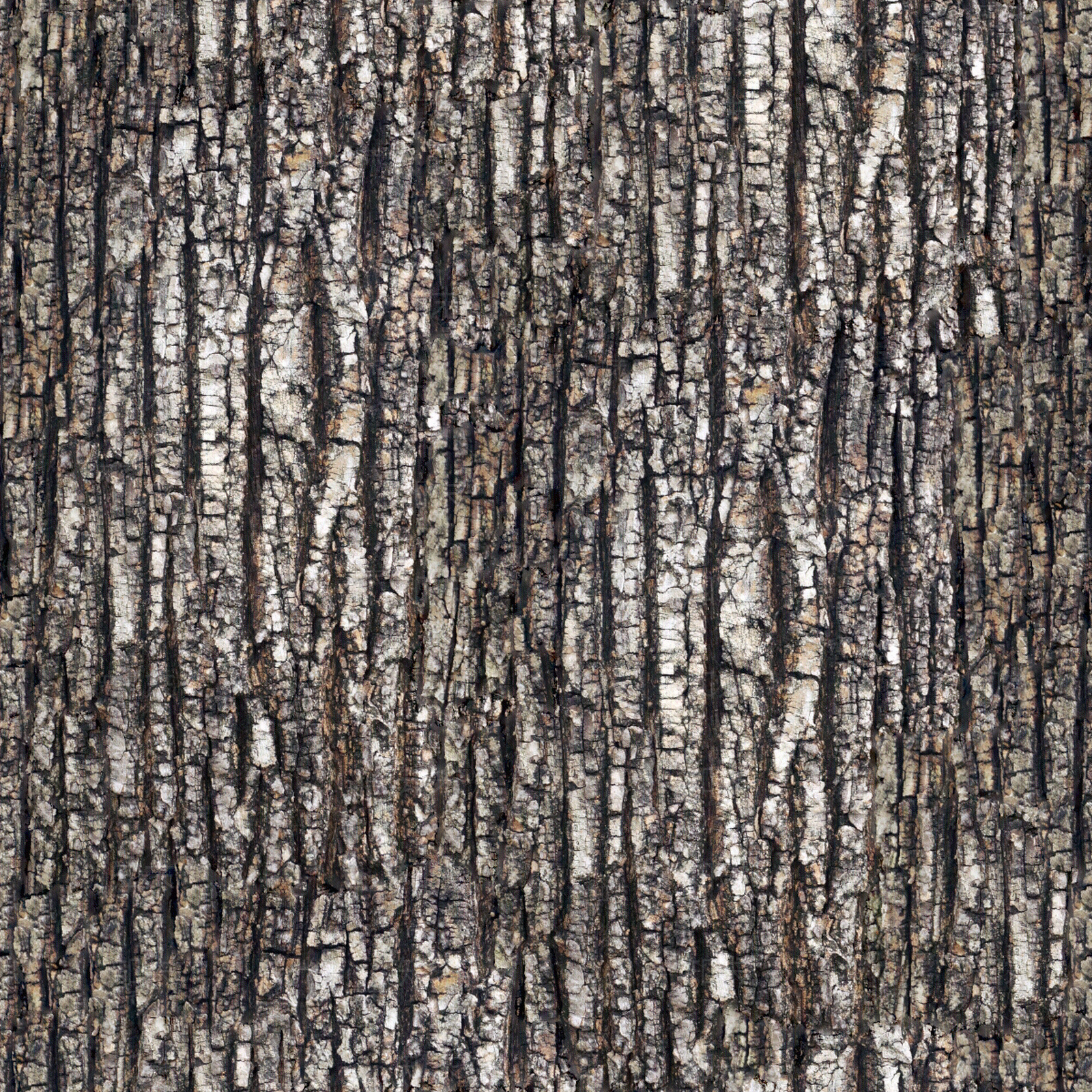 无缝松树皮贴图下载【ID:1153913877】