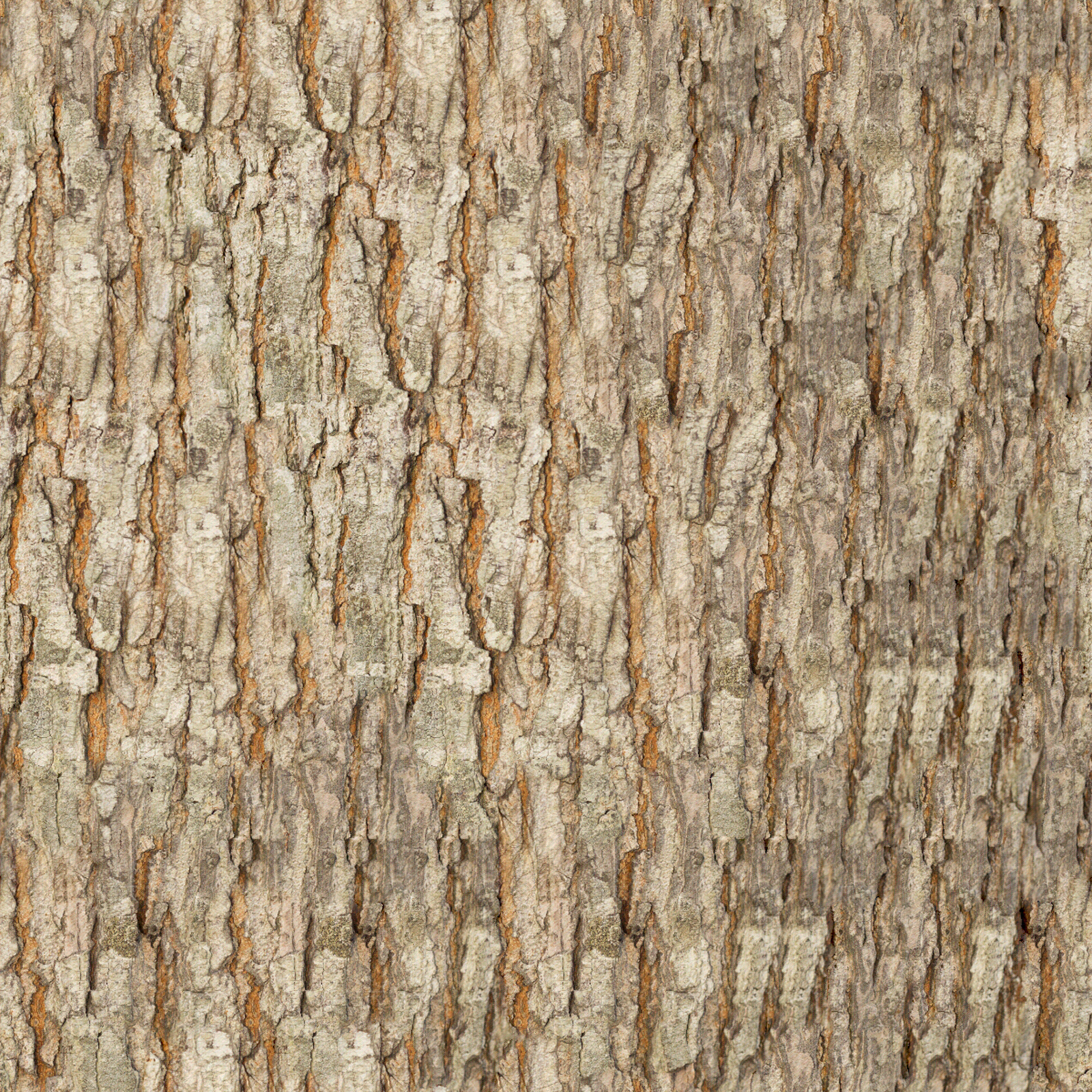 无缝松树皮贴图下载【ID:1153914344】