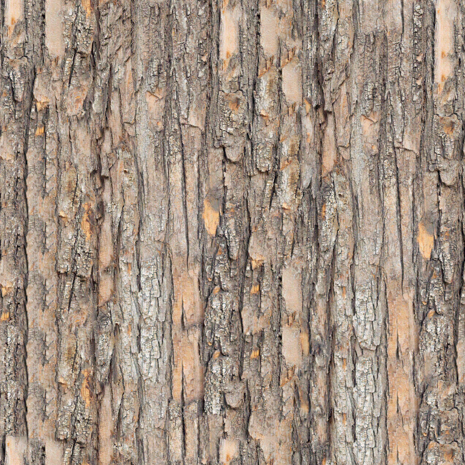 无缝松树皮贴图下载【ID:1153914435】