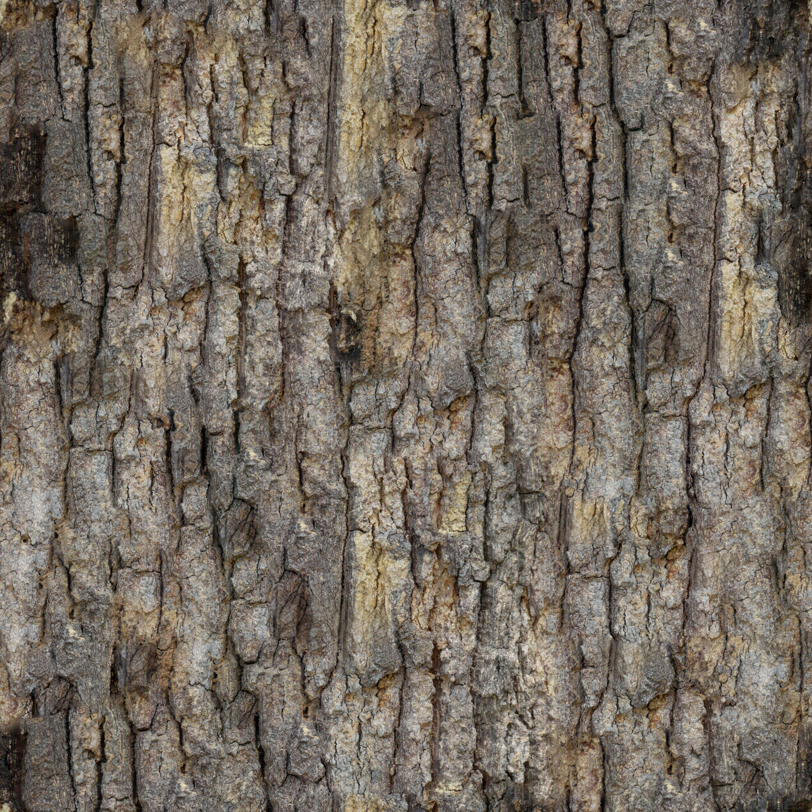 无缝松树皮贴图下载【ID:1153914680】