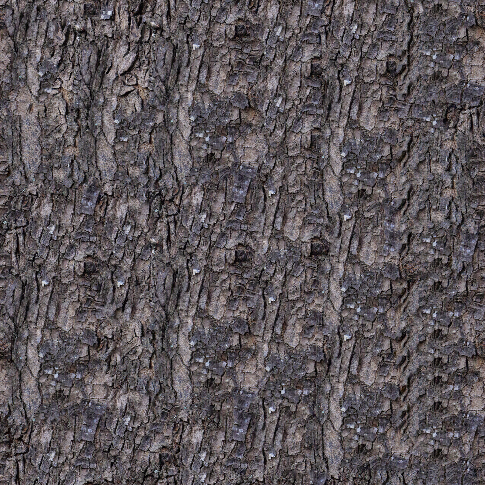 无缝树皮贴图下载【ID:1153916811】