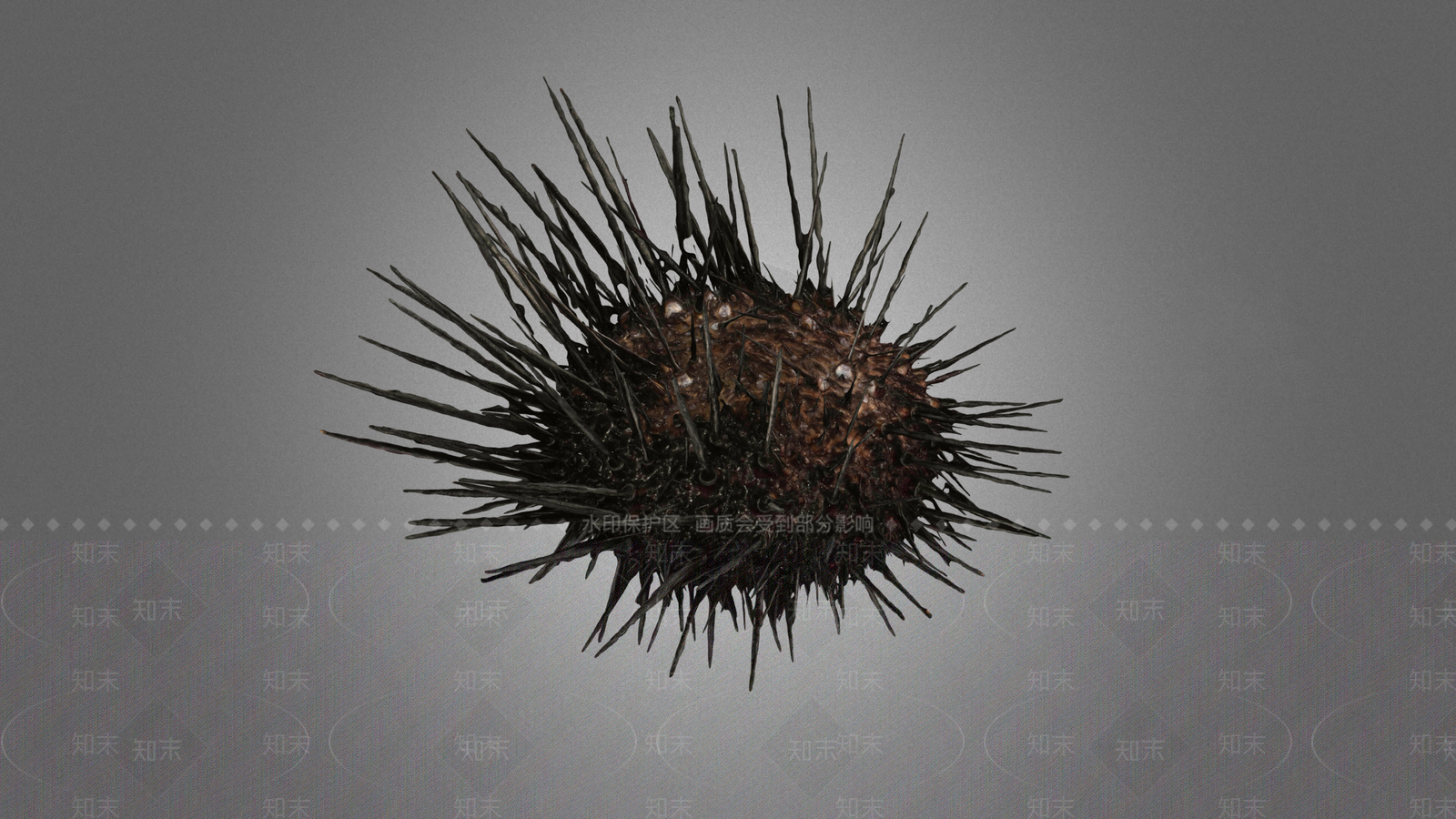 海胆3D模型下载【ID:1153952419】