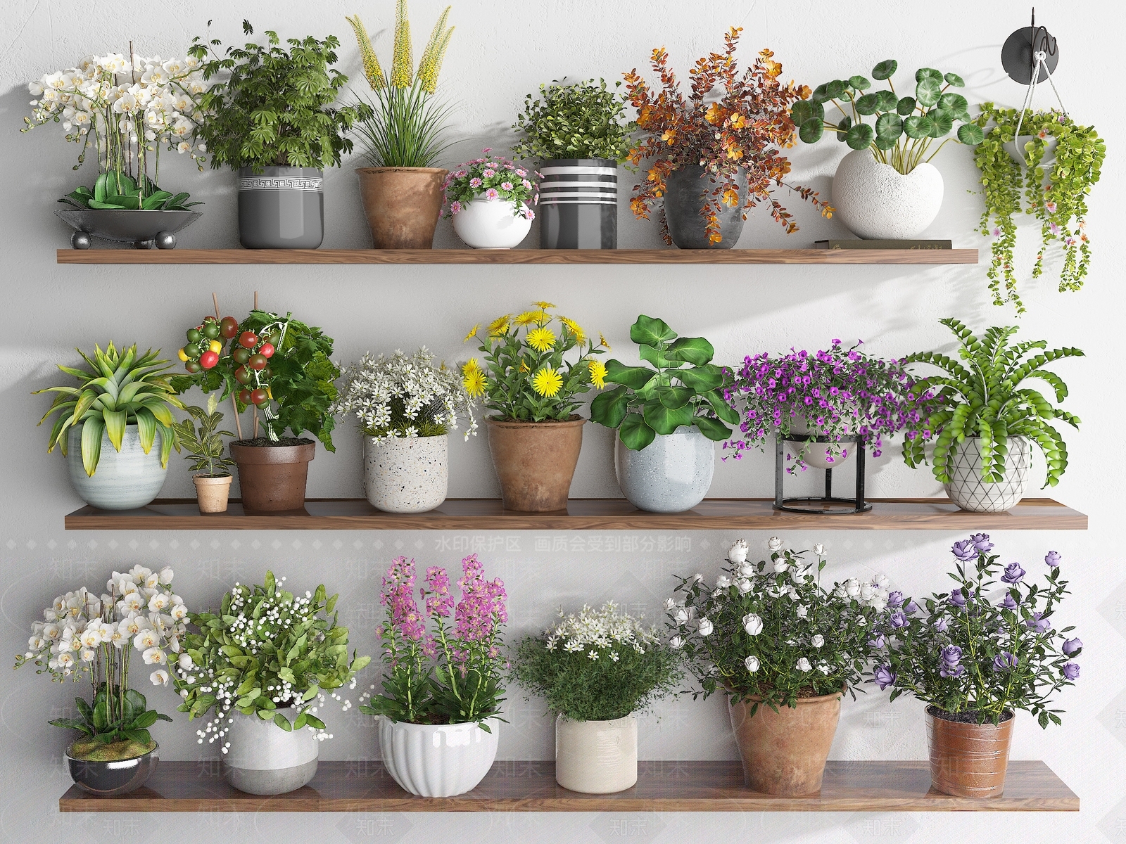 花卉盆栽3D模型下载【ID:1153971286】