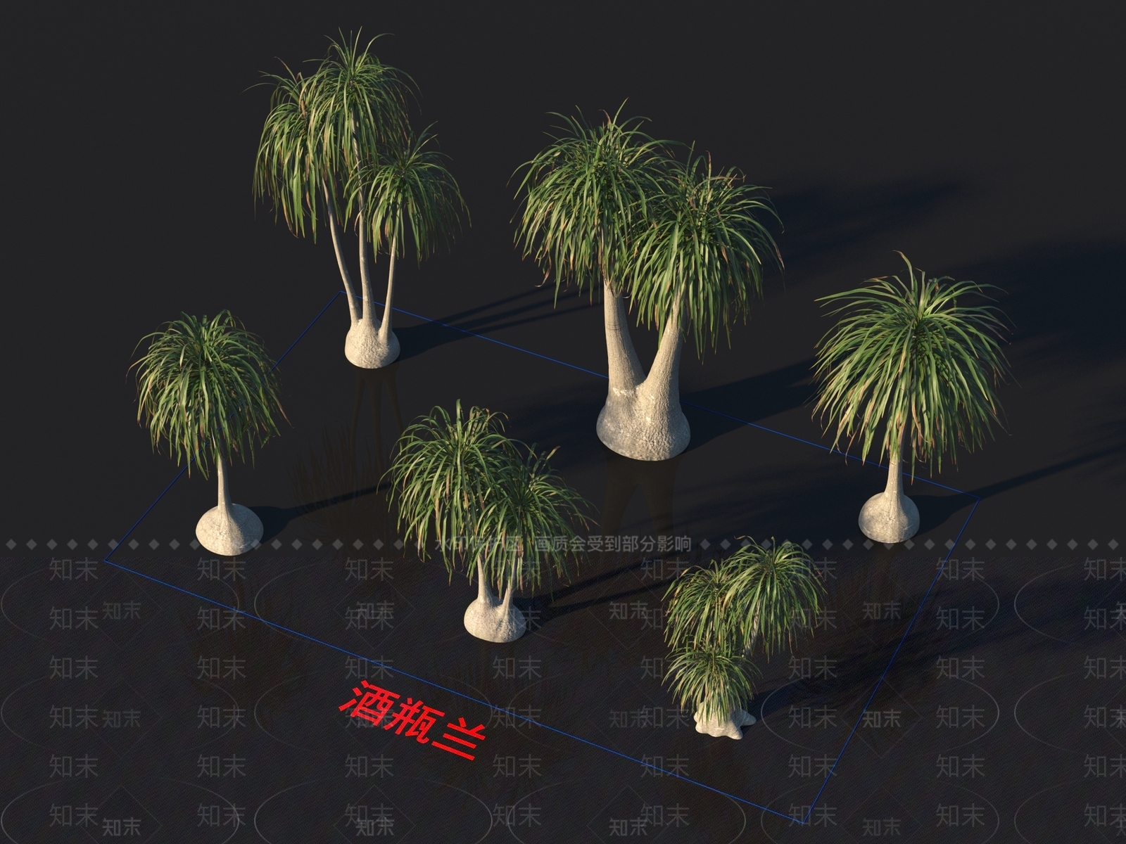酒瓶兰3D模型下载【ID:1153979215】