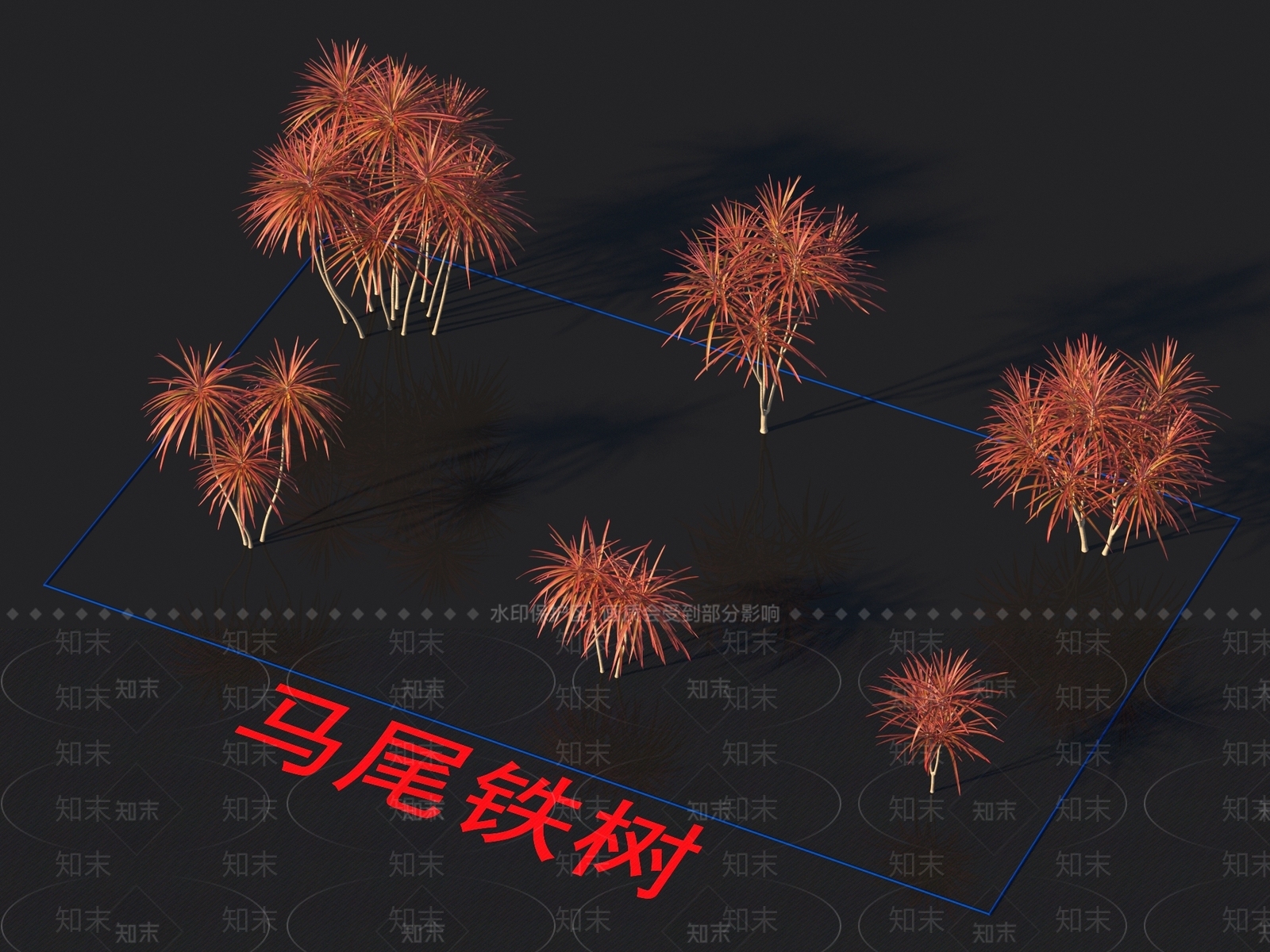 马尾铁树3D模型下载【ID:1153980217】