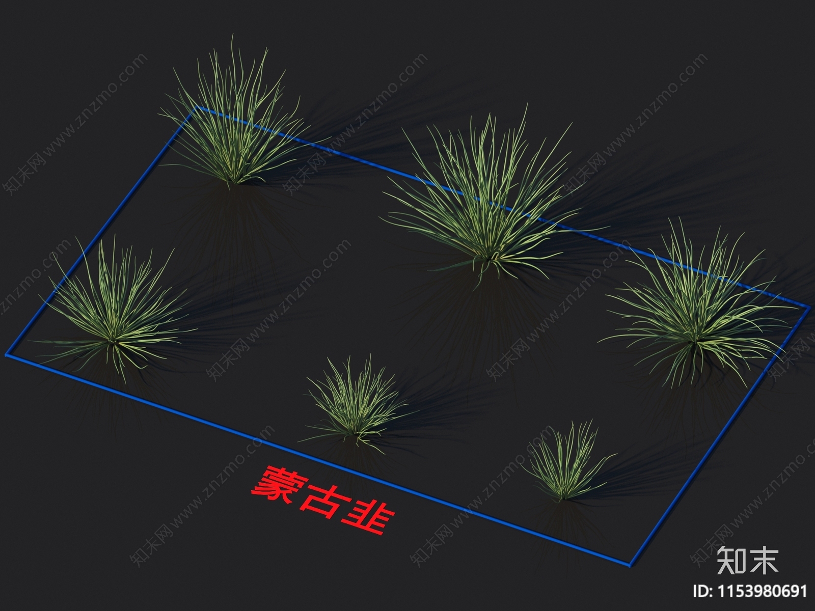 蒙古韭3D模型下载【ID:1153980691】