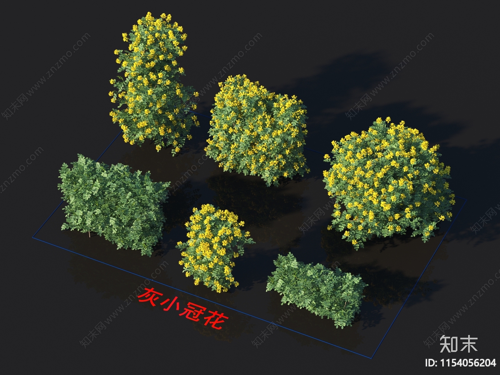 灰小冠花3D模型下载【ID:1154056204】