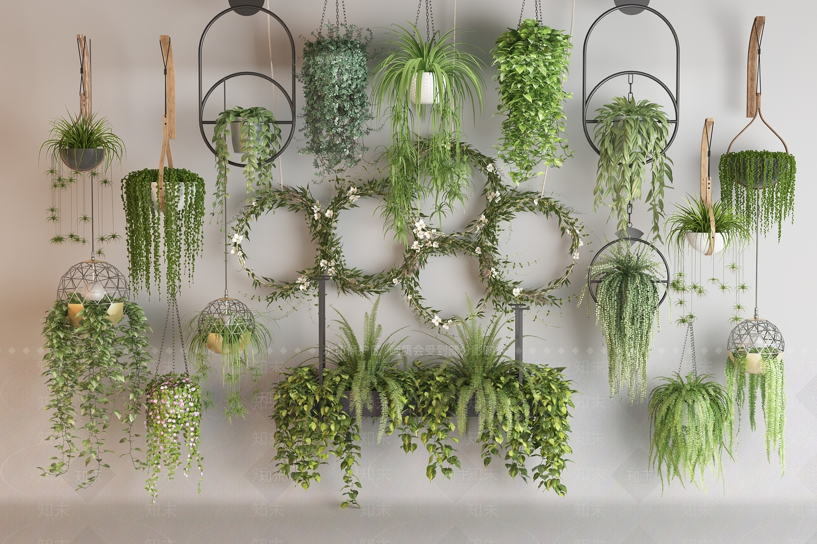 现代爬藤植物组合3D模型下载【ID:1154095121】