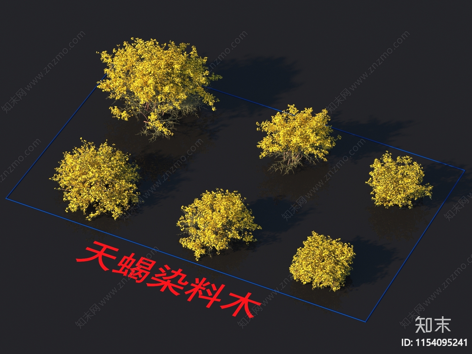 天蝎染料木3D模型下载【ID:1154095241】