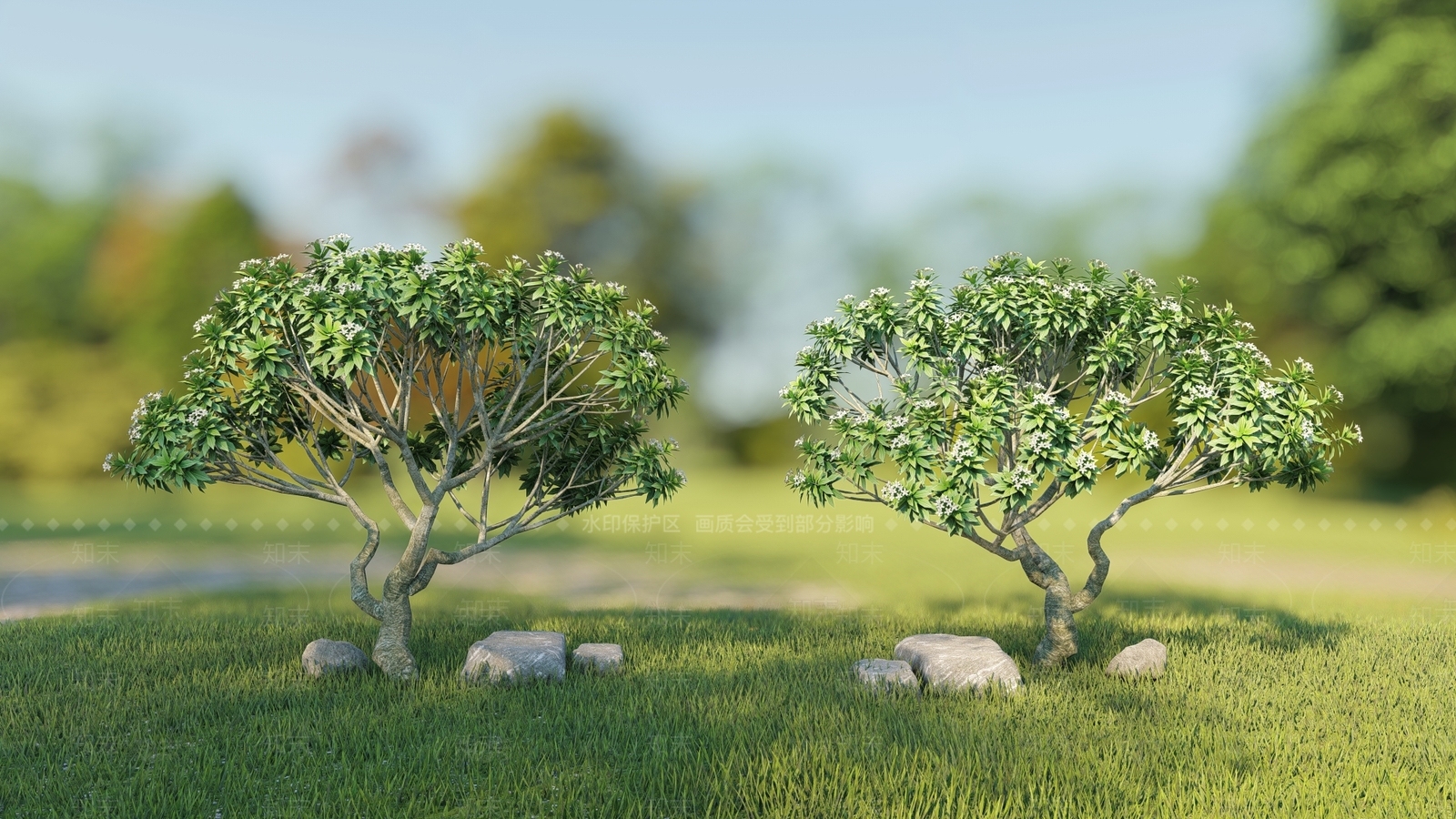 鸡蛋花SU模型下载【ID:1154126517】