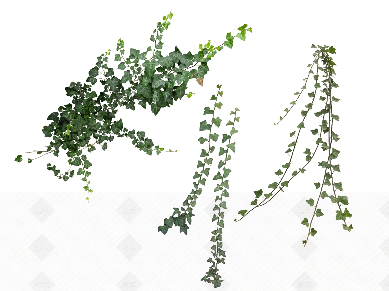 2D绿色植物SU模型下载【ID:1154135994】