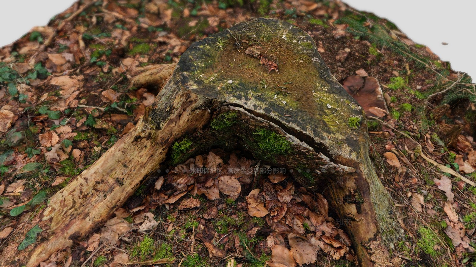 树桩3D模型下载【ID:1154157709】