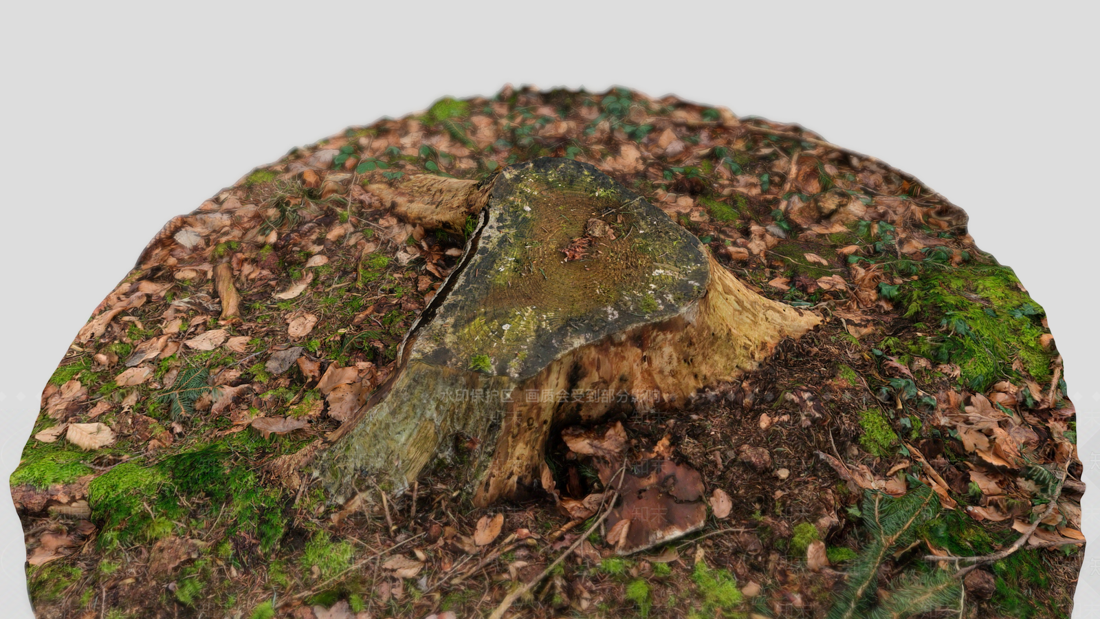 树桩3D模型下载【ID:1154157709】