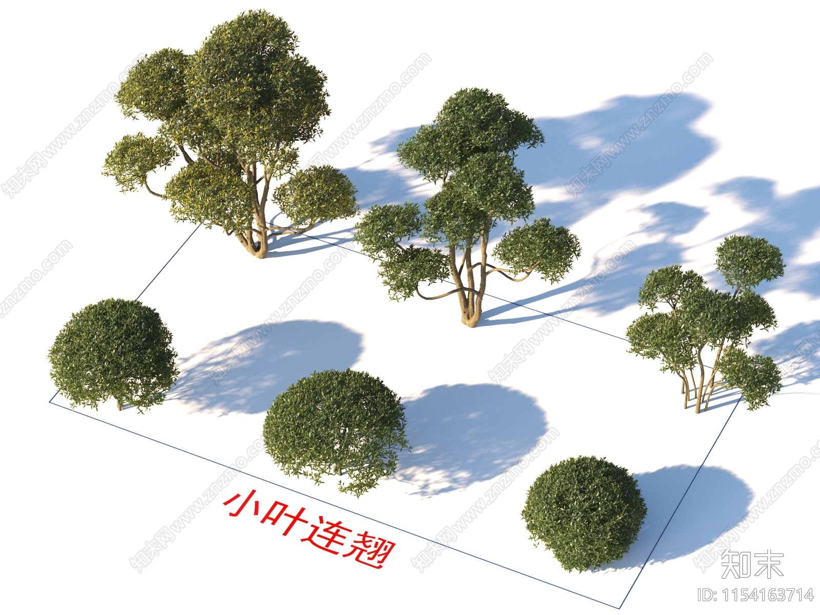 小叶连翘3D模型下载【ID:1154163714】