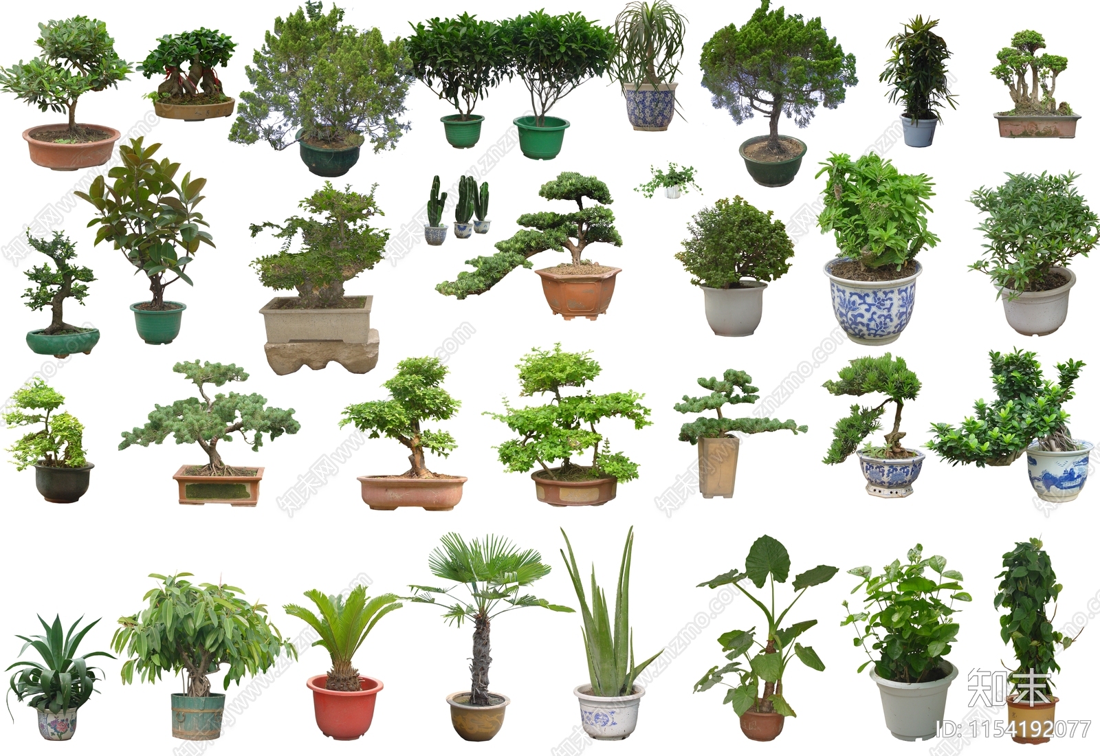 PSD免抠植物盆景盆栽下载【ID:1154192077】undefined